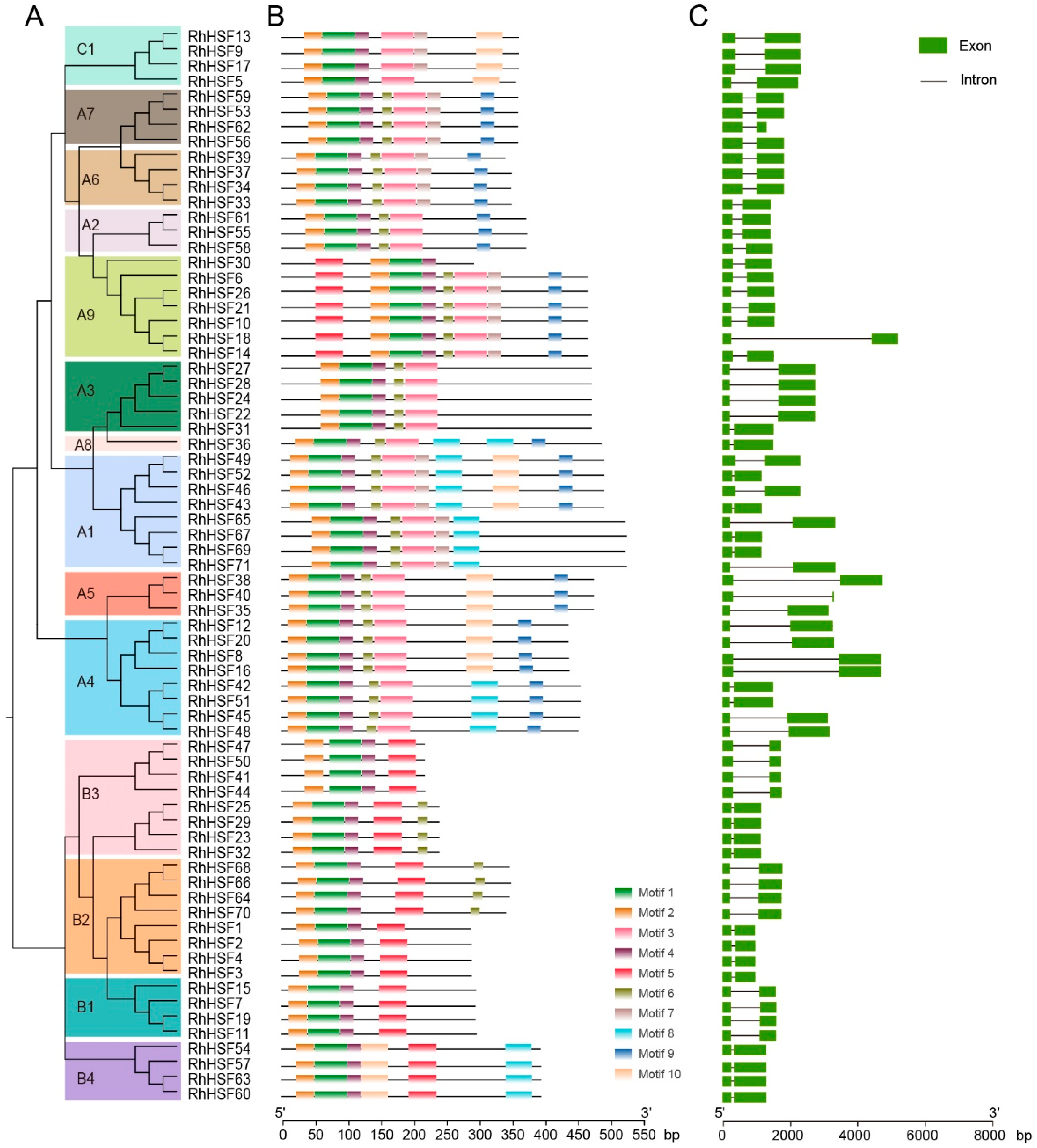Plants 14 03167 g002 Plants 14 03167 g002