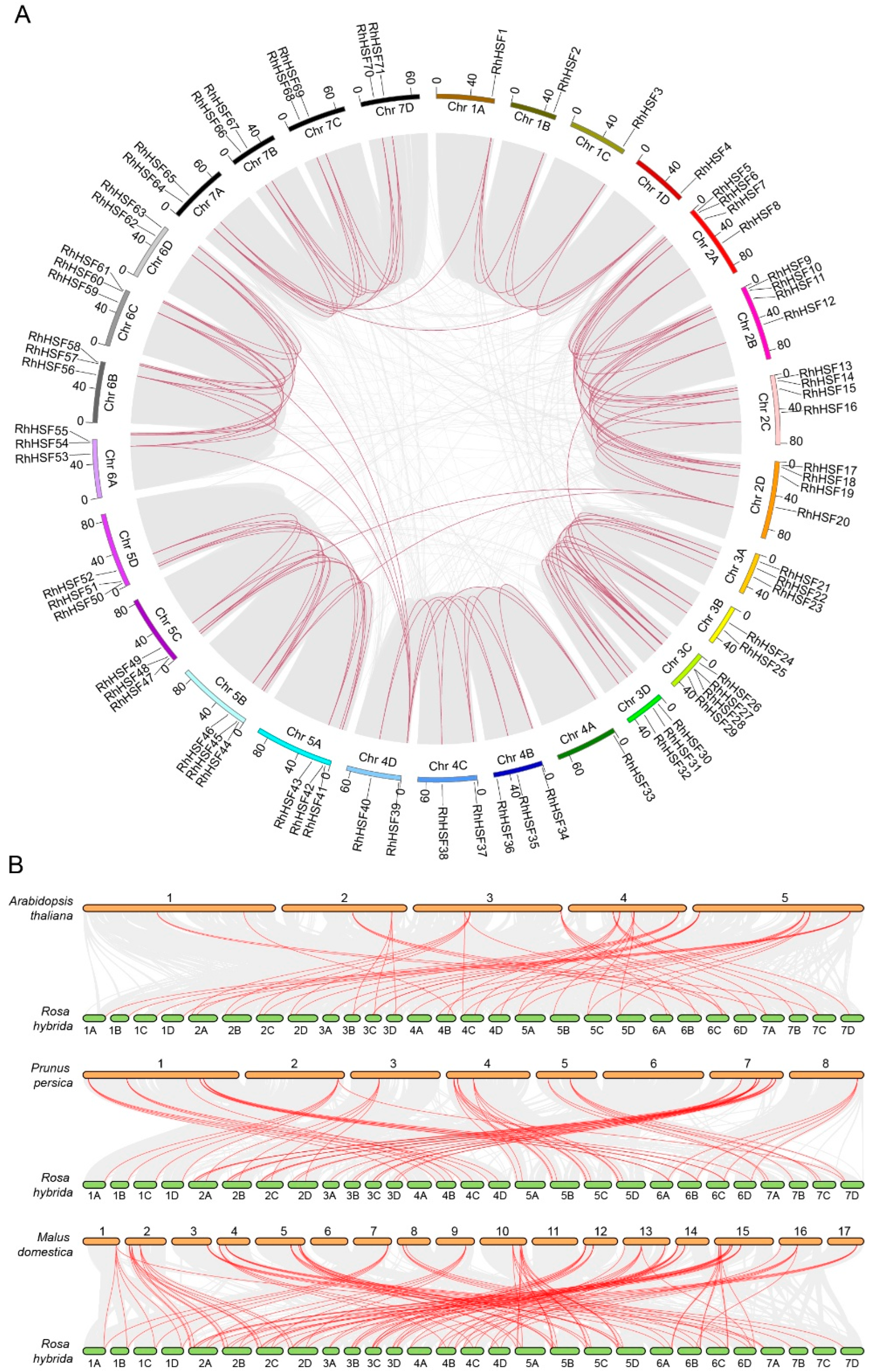Plants 14 03167 g004 Plants 14 03167 g004