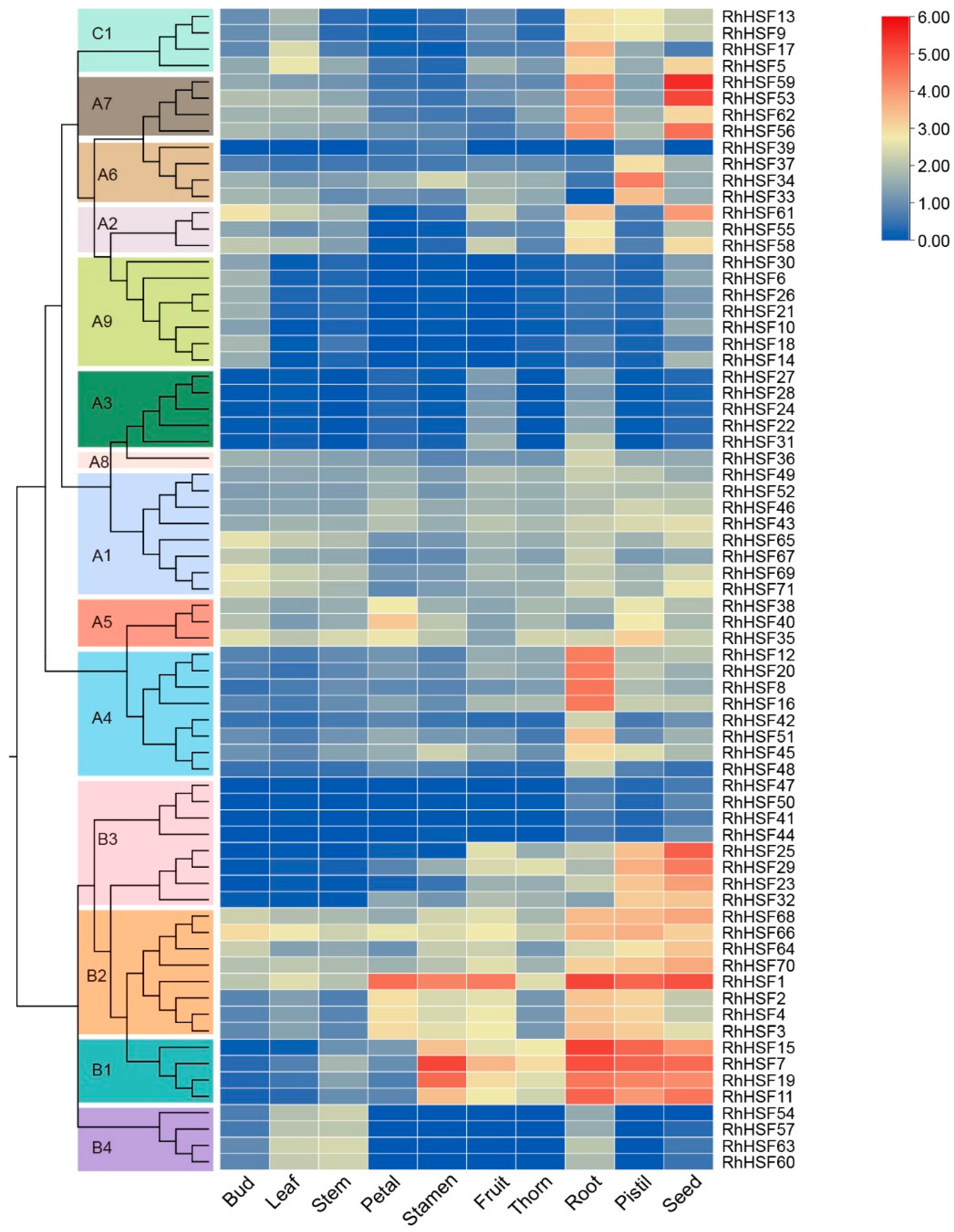 Plants 14 03167 g005 Plants 14 03167 g005