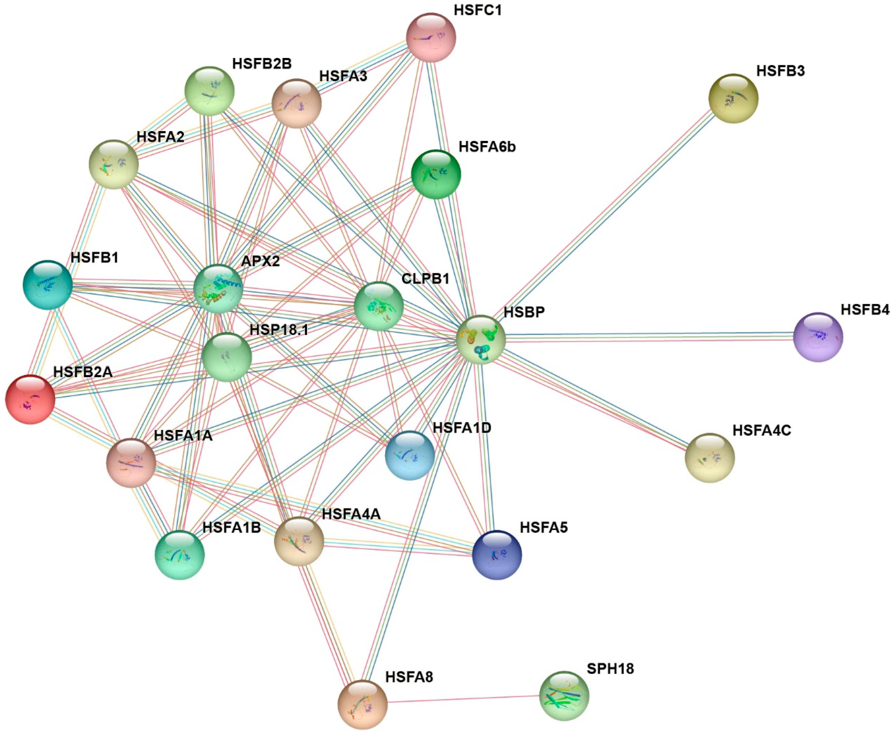 Plants 14 03167 g007 Plants 14 03167 g007