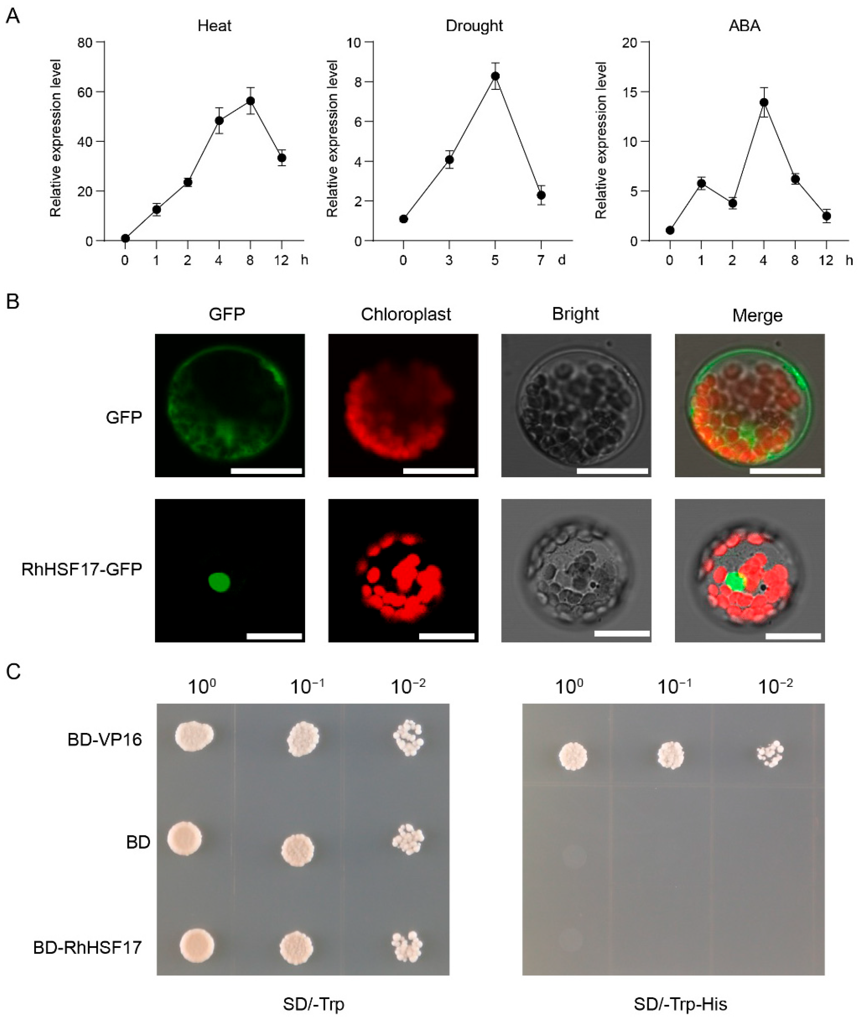 Plants 14 03167 g008 Plants 14 03167 g008