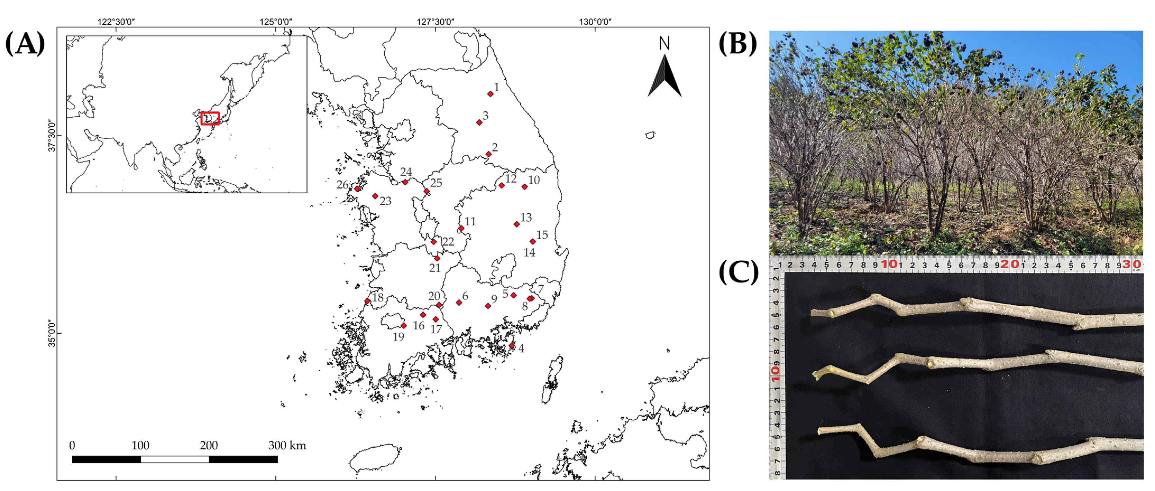 Plants 14 03175 g004 Plants 14 03175 g004