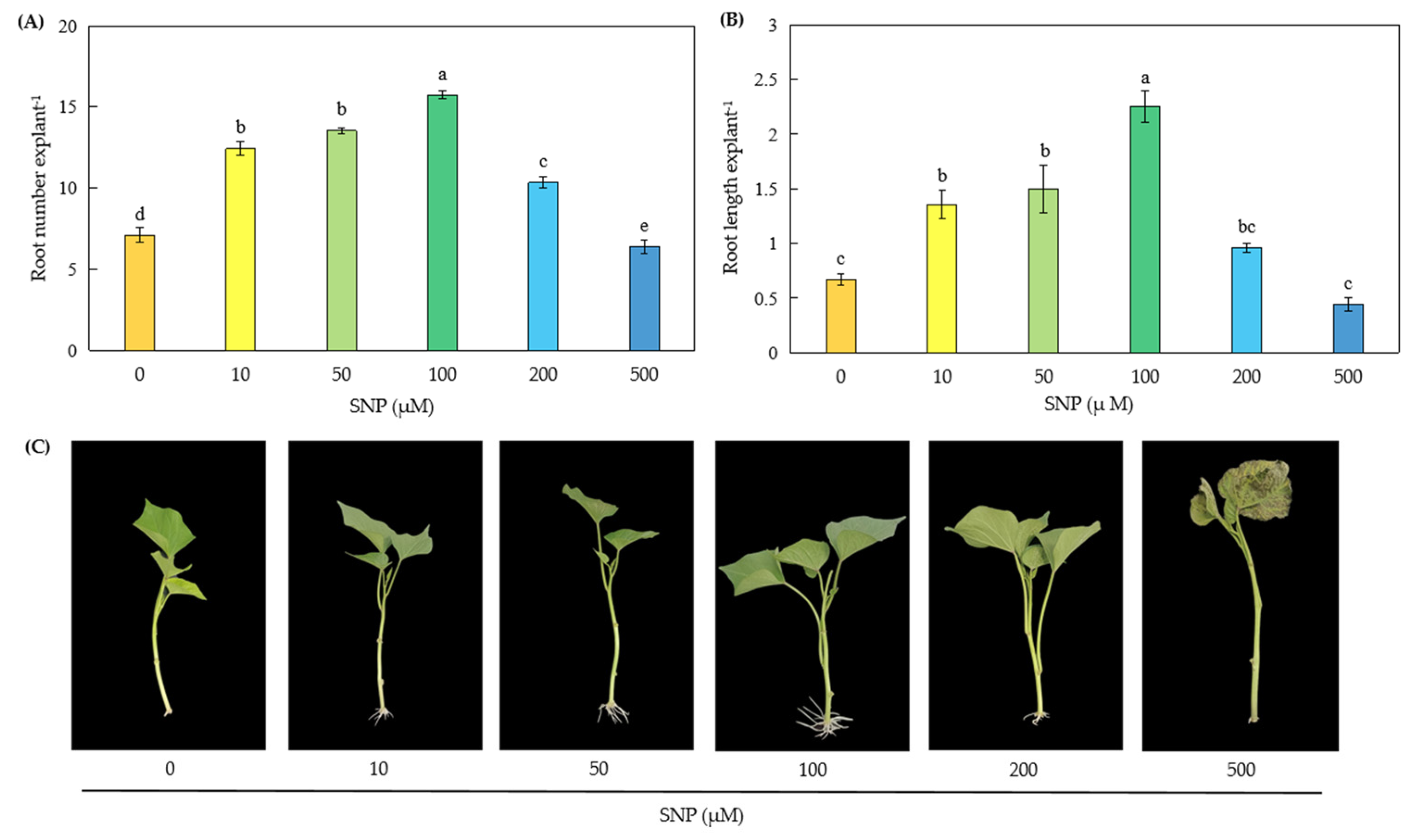 Plants 14 03183 g001 Plants 14 03183 g001