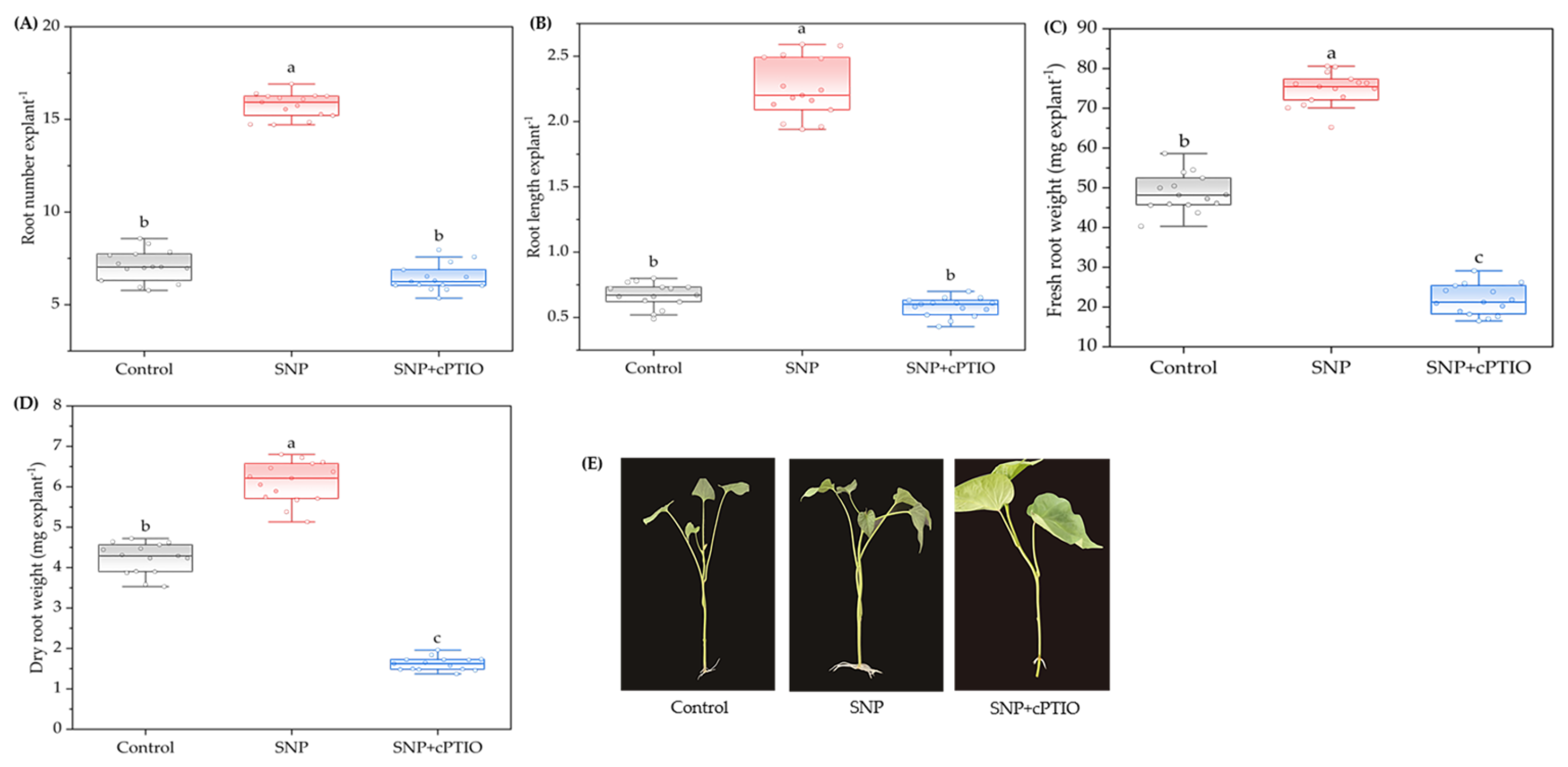 Plants 14 03183 g002 Plants 14 03183 g002