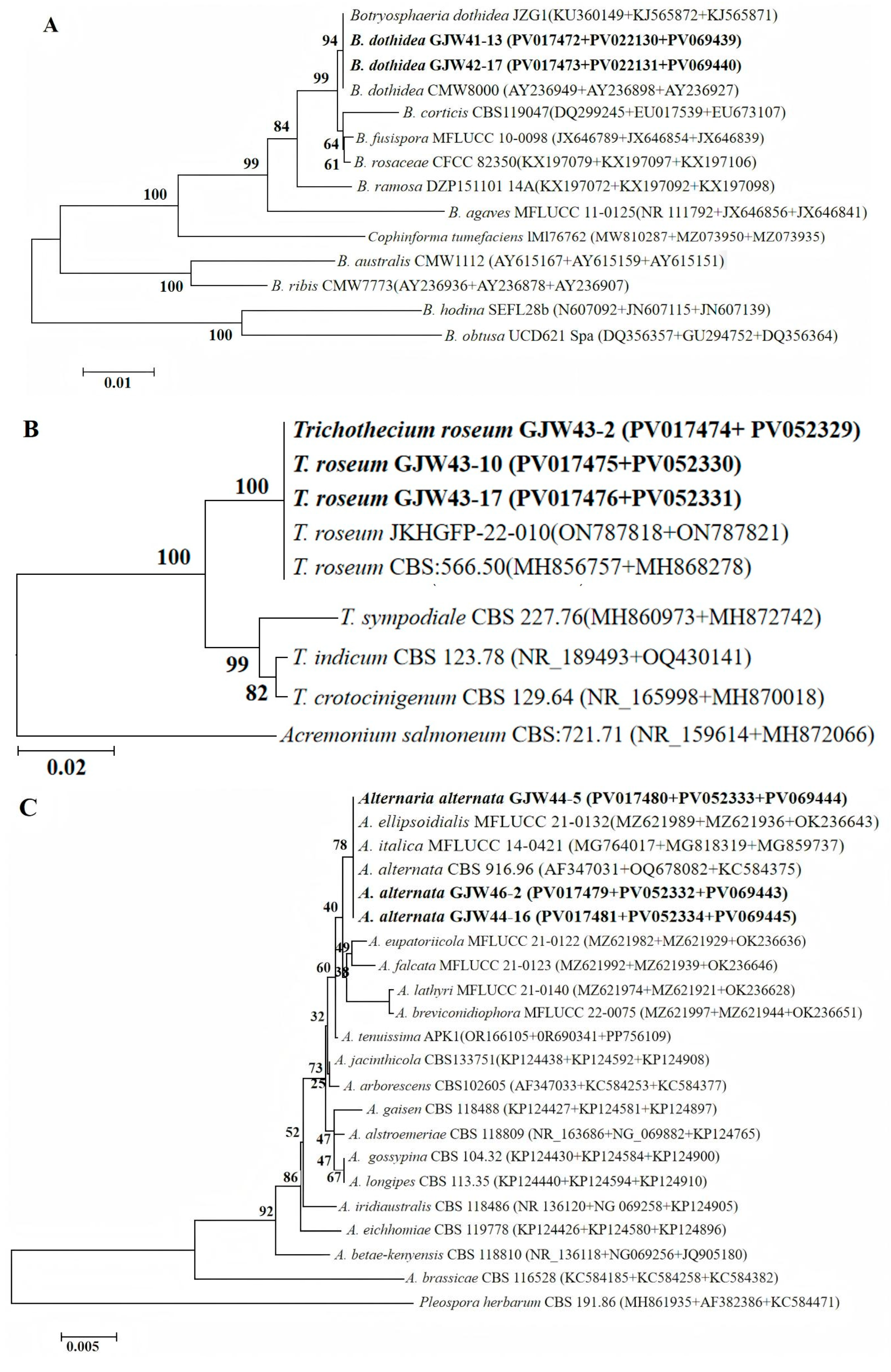 Plants 14 03201 g003a Plants 14 03201 g003a