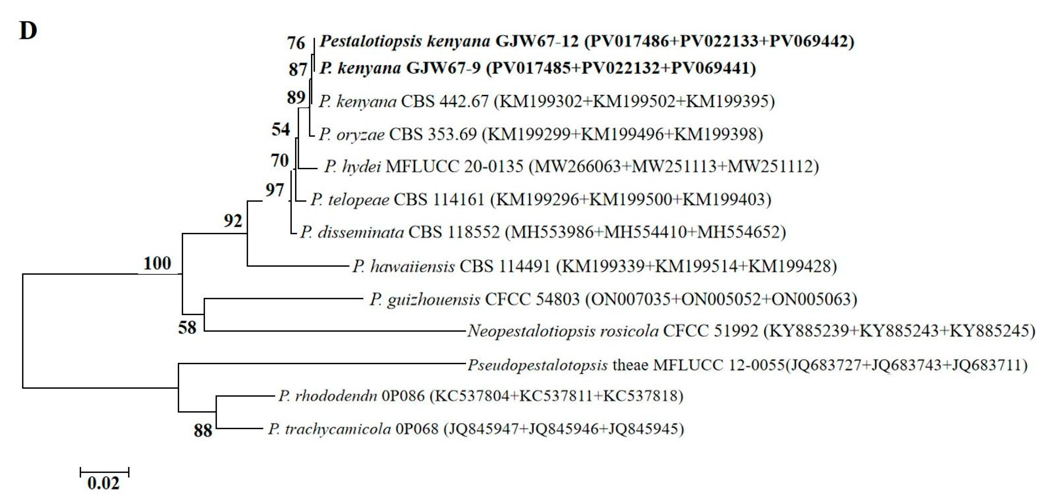 Plants 14 03201 g003b Plants 14 03201 g003b