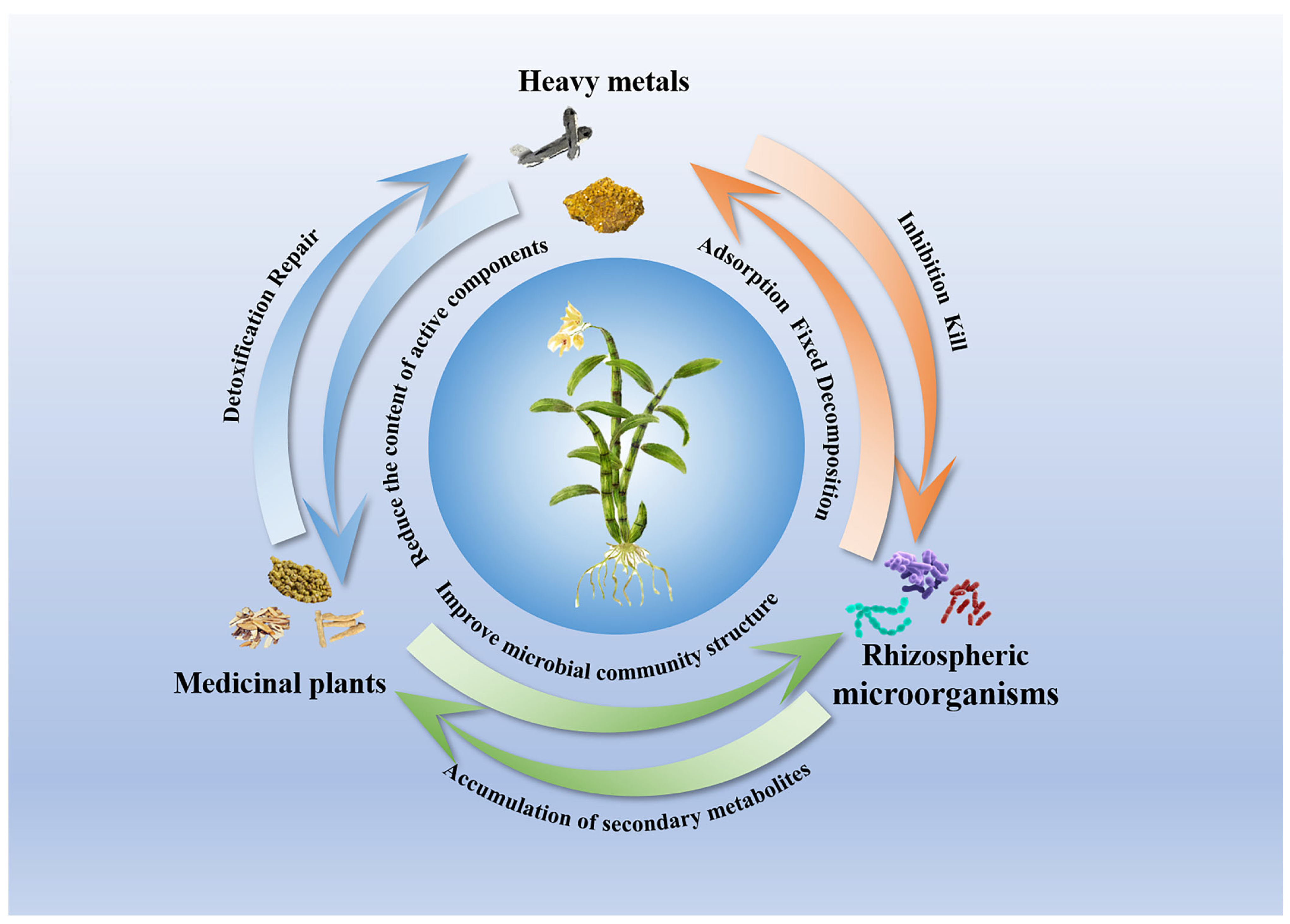 Plants 14 03214 g003 Plants 14 03214 g003
