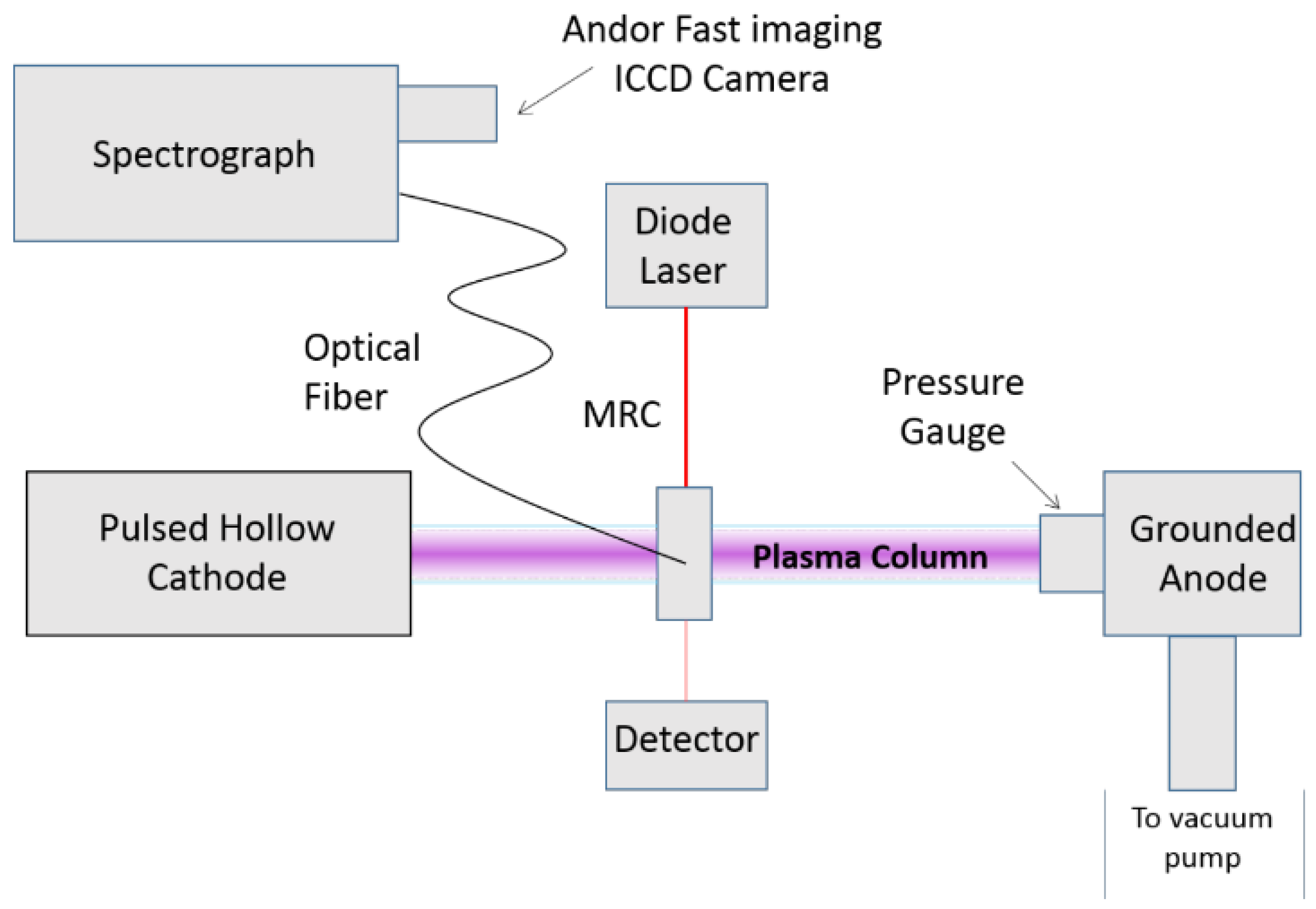 Plasma 02 00007 g002