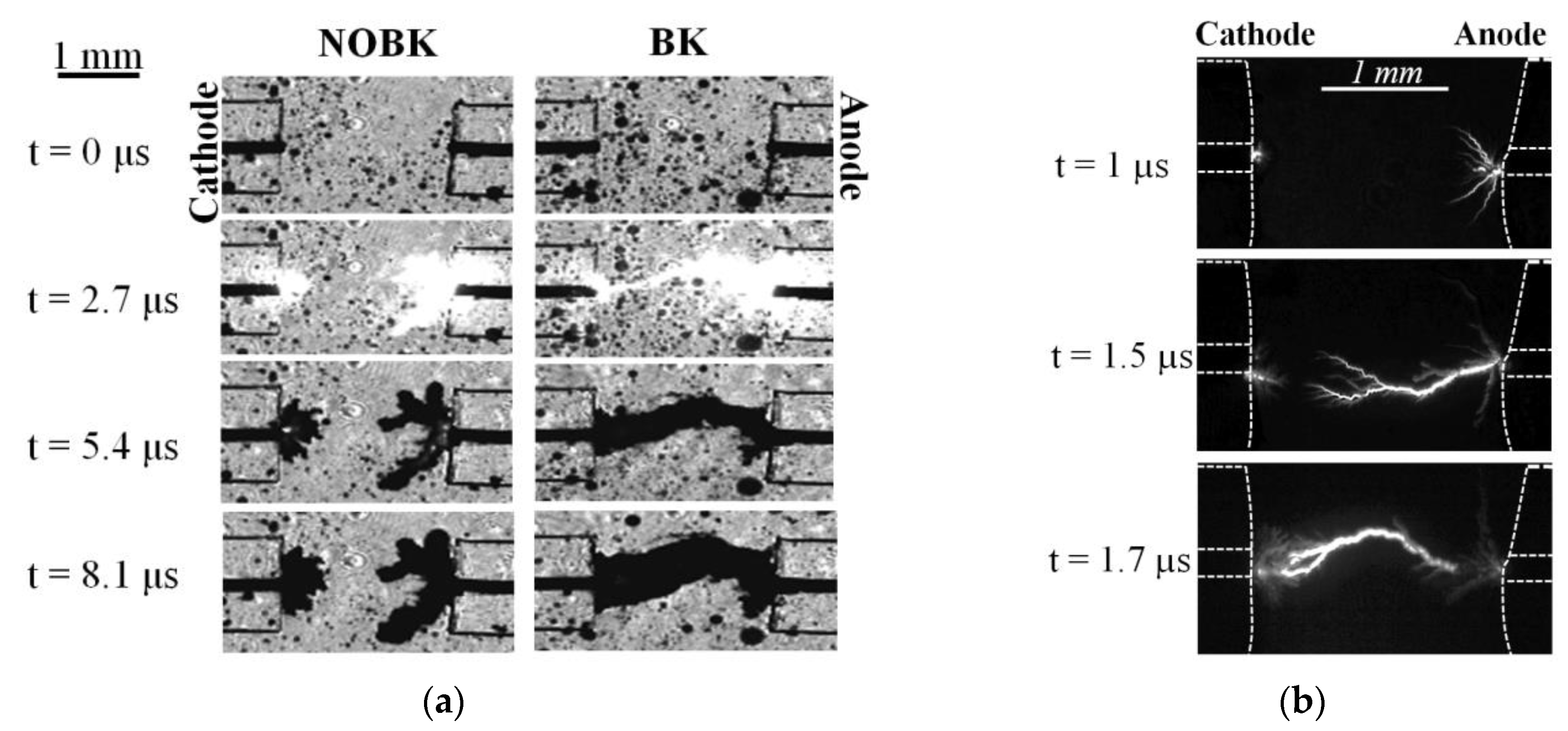 Plasma 05 00030 g004 Plasma 05 00030 g004