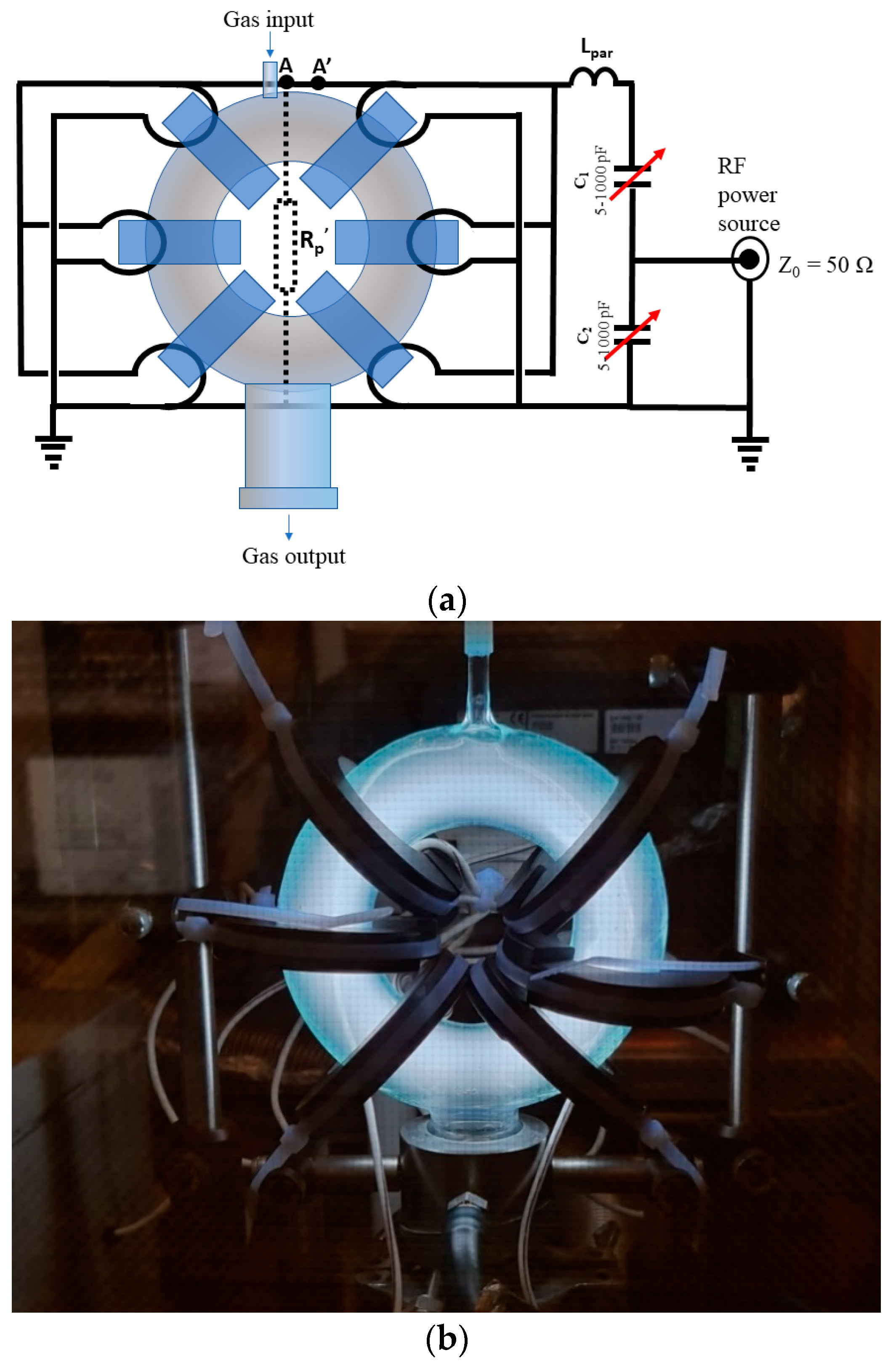 Plasma 07 00030 g005