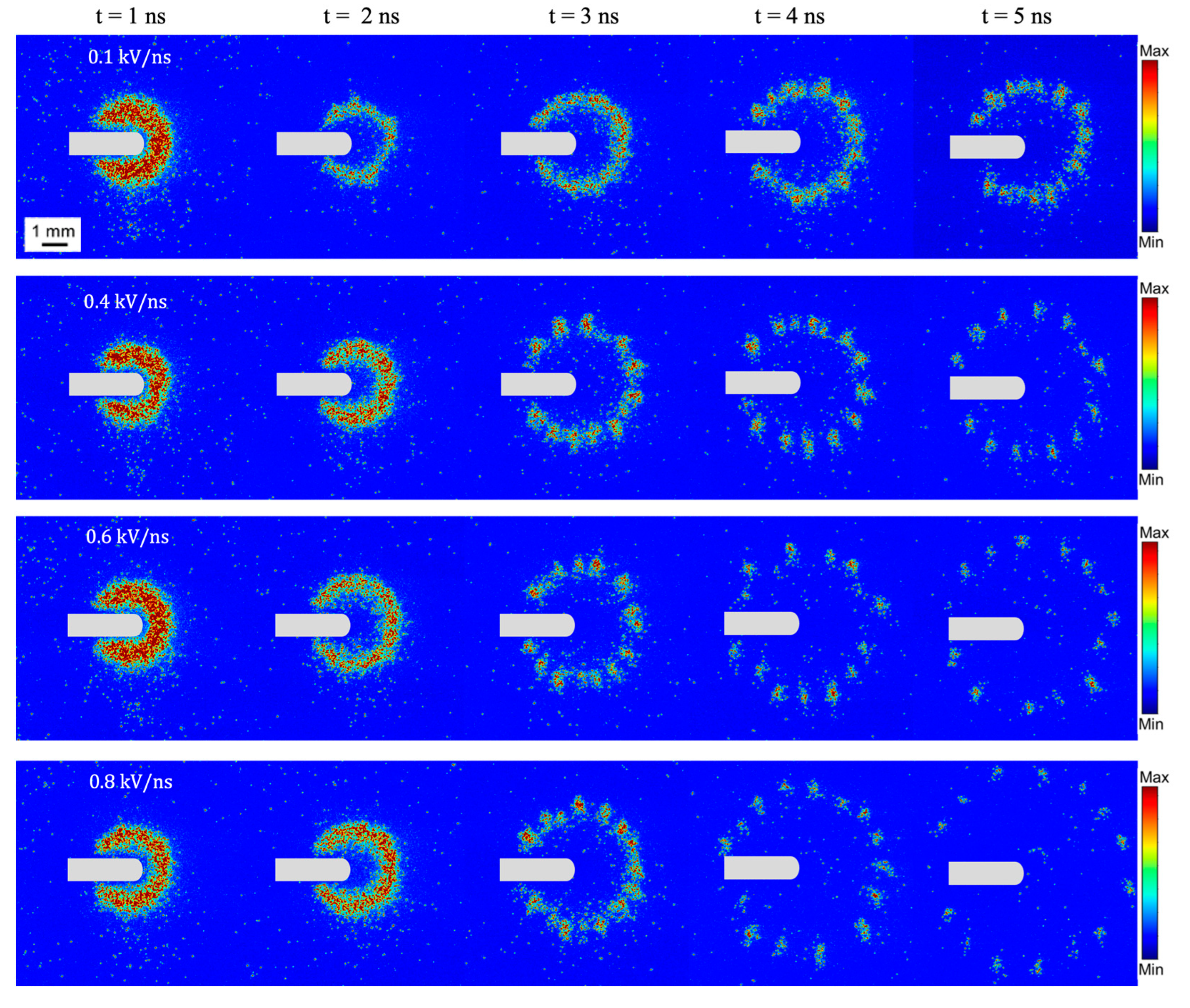 Plasma 07 00032 g006