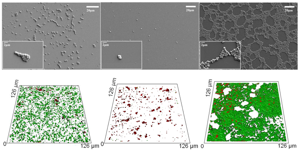 Polymers 03 00388f2 1024
