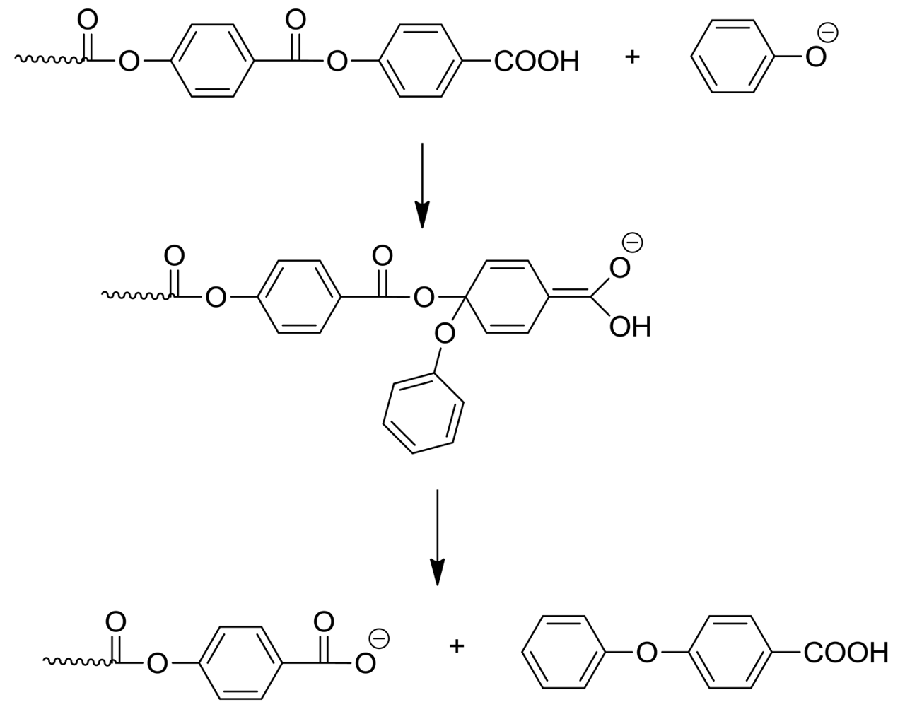 Polymers 03 00833f7 1024