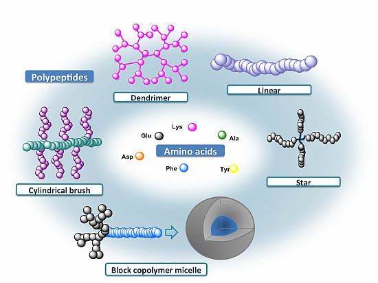Polymers | Free Full-Text | Peptide-Based Polymer Therapeutics | HTML