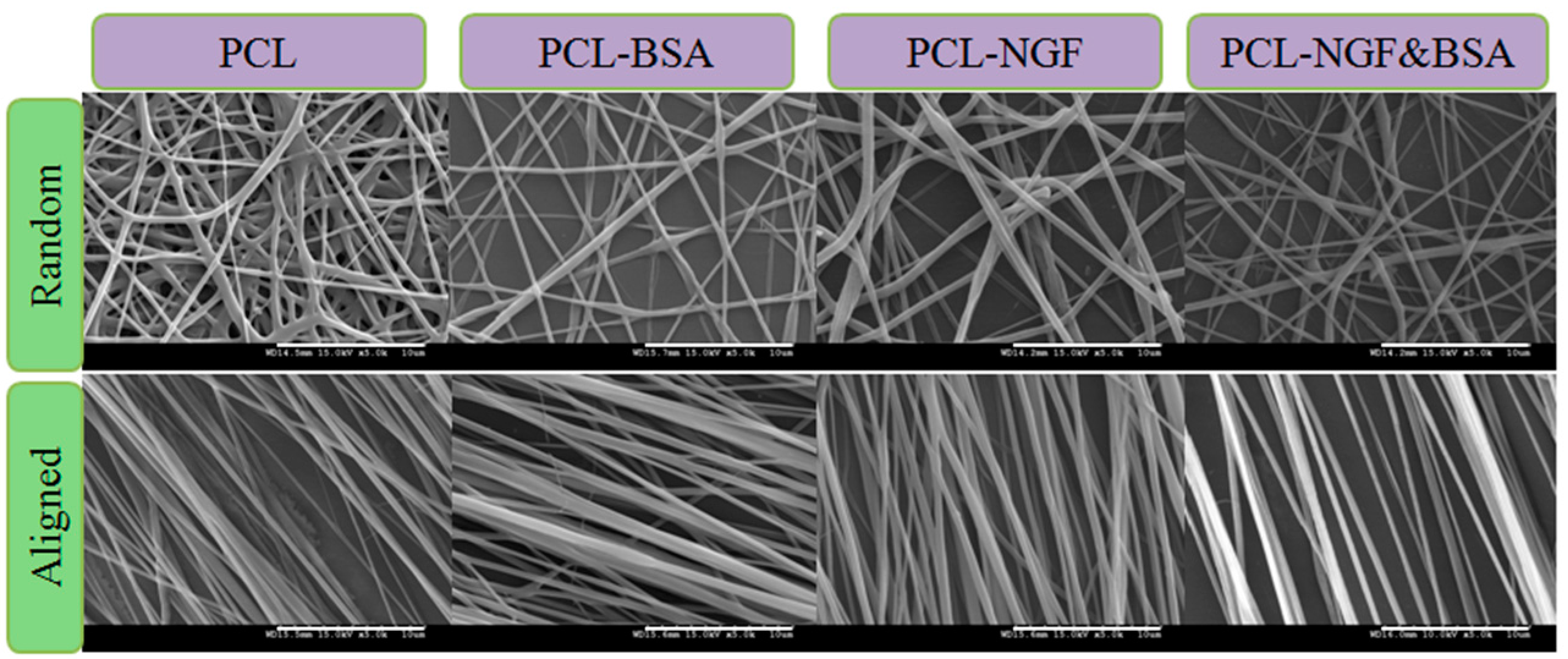 Polymers 08 00054 g002