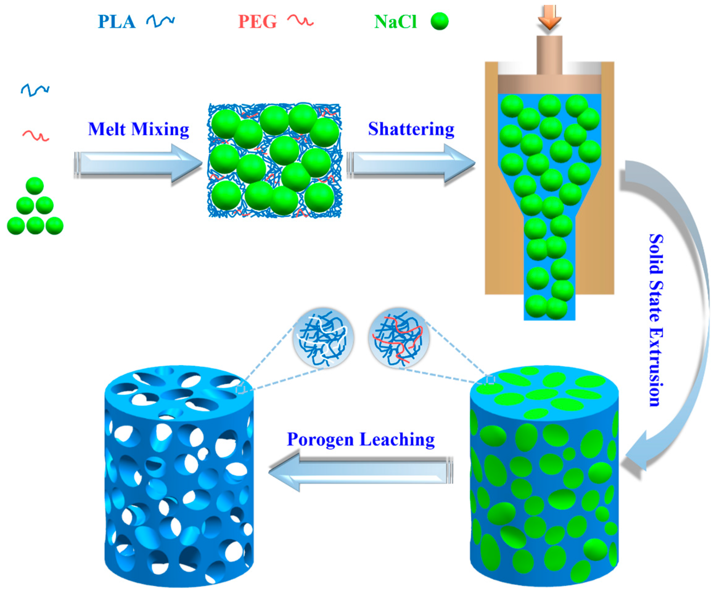 Polymers | Free Full-Text | Engineering Porous Poly(lactic acid) Scaffolds  with High Mechanical Performance via a Solid State Extrusion/Porogen  Leaching Approach