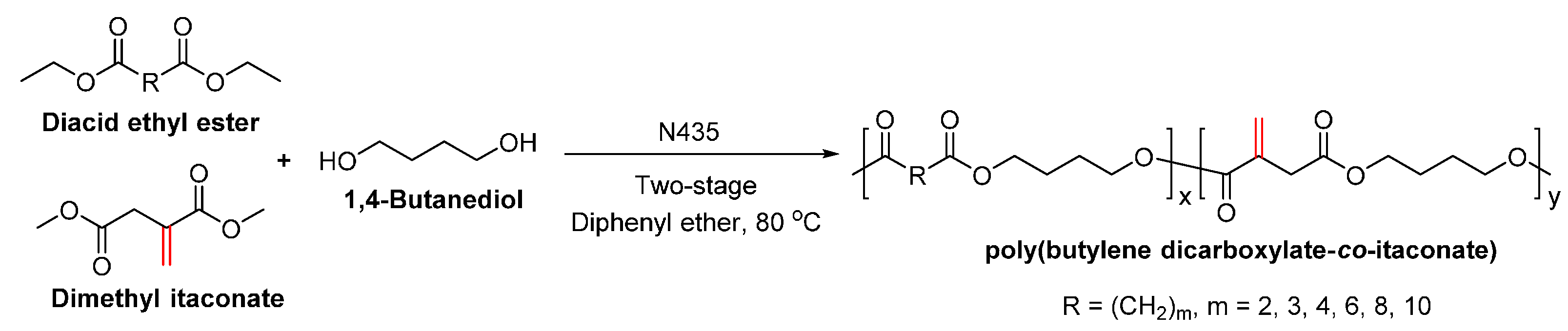 Polymers  Free Full-Text  Enzymatic Synthesis of 