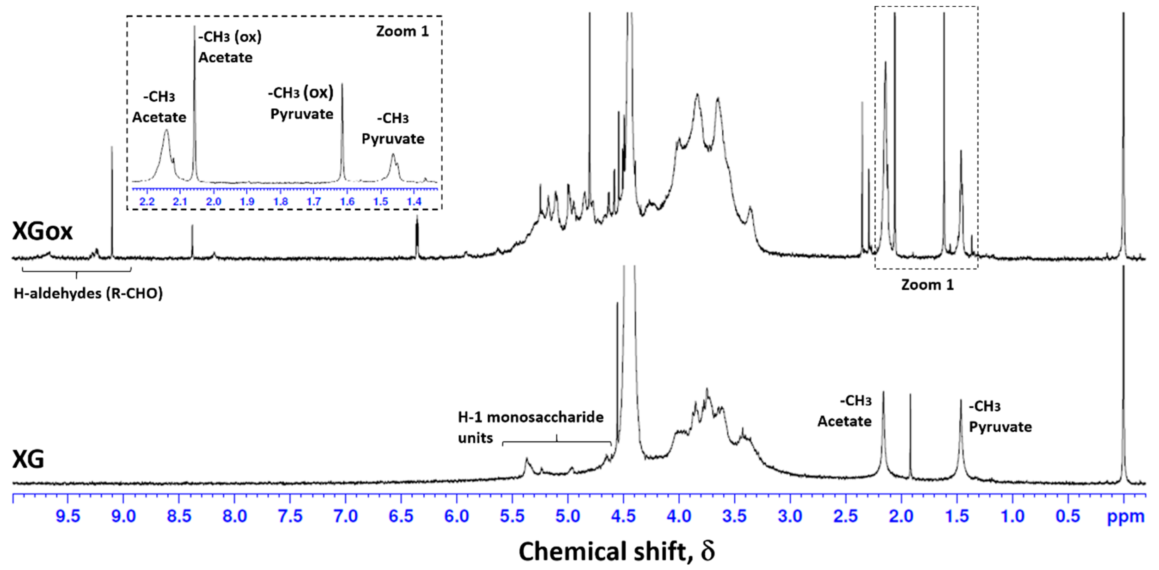 Xanthan Gum Polysaccharides