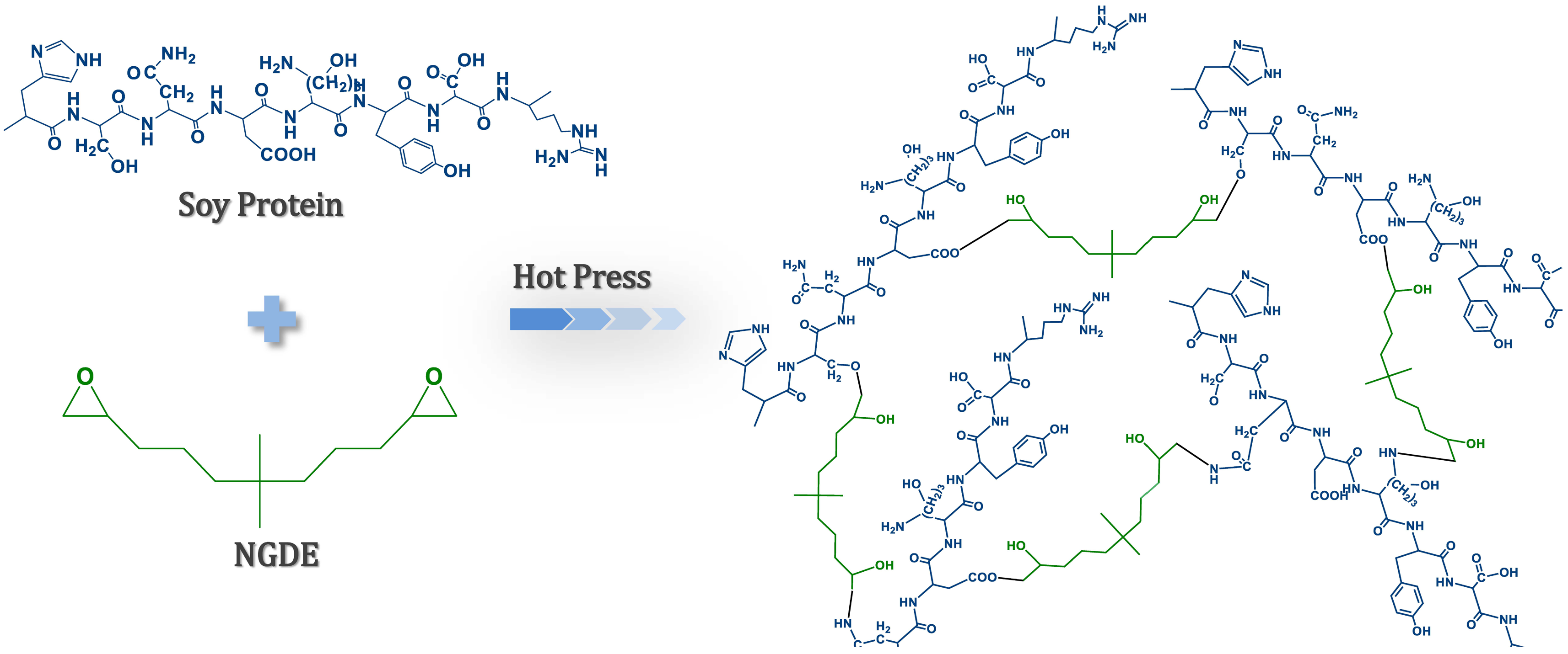 Polymers 08 00346 g002