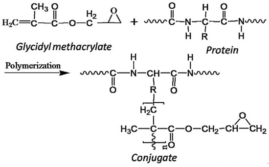 A dialdehyde starch-based adhesive for medium-density fiberboards ::  BioResources