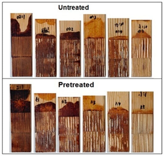 Bond-Optic wood stirring sticks for epoxy mixing