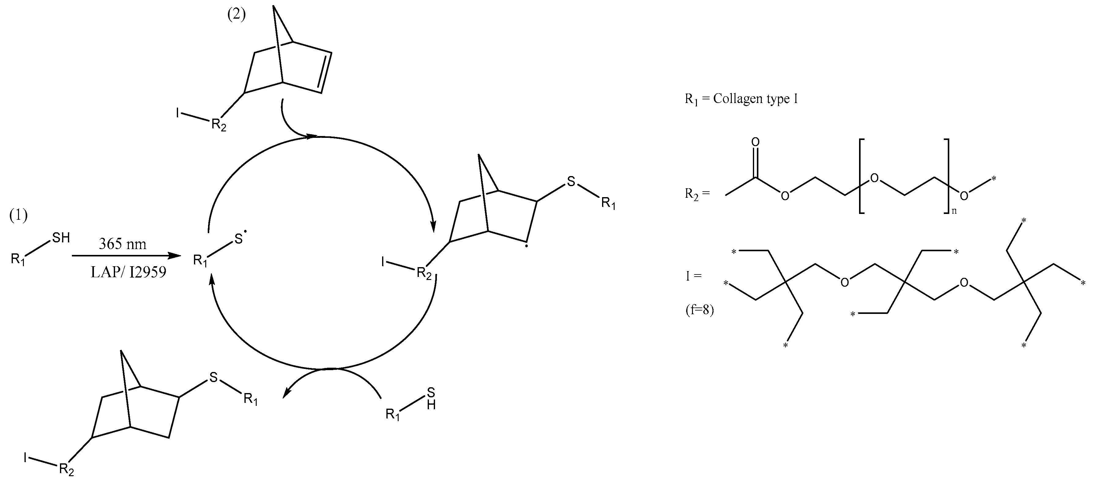 Polymers 09 00226 sch002