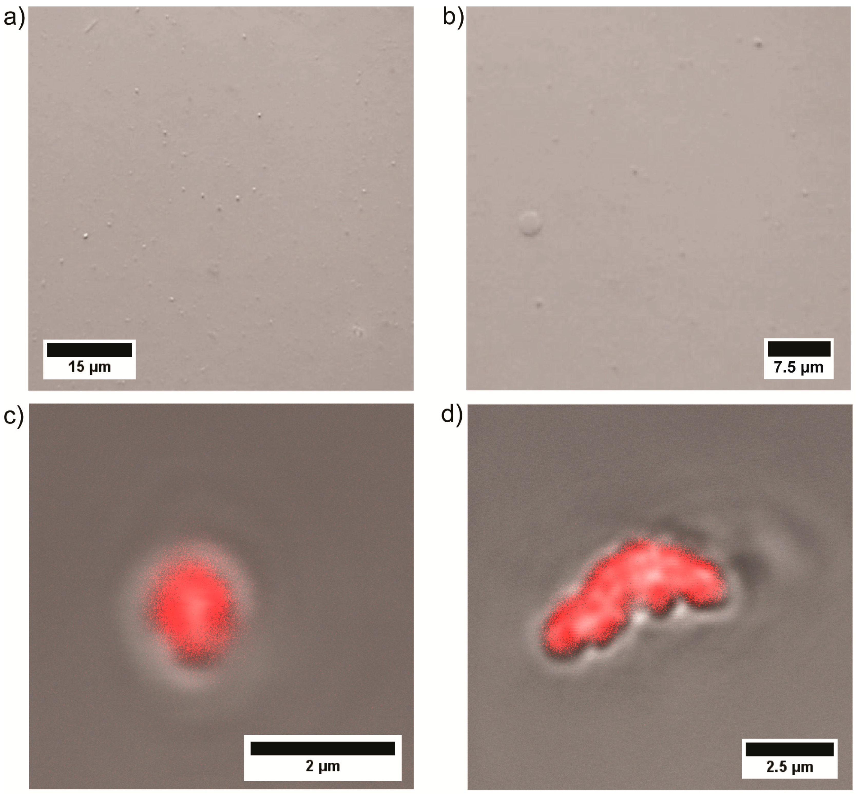 Polymers 09 00293 g003 Polymers 09 00293 g003
