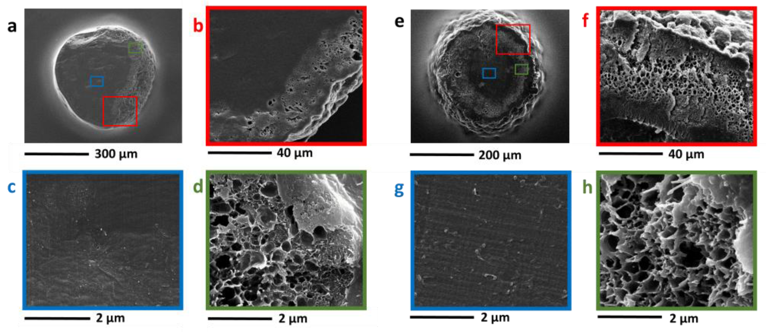 Polymers 09 00651 g008