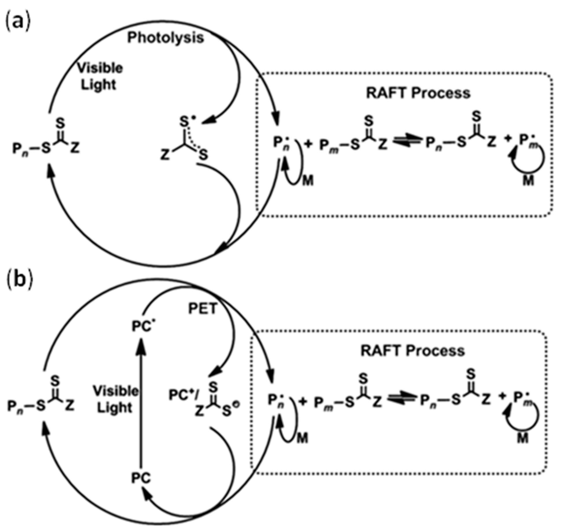 Polymers | Free Full-Text | Recent Advances In RAFT Polymerization ...