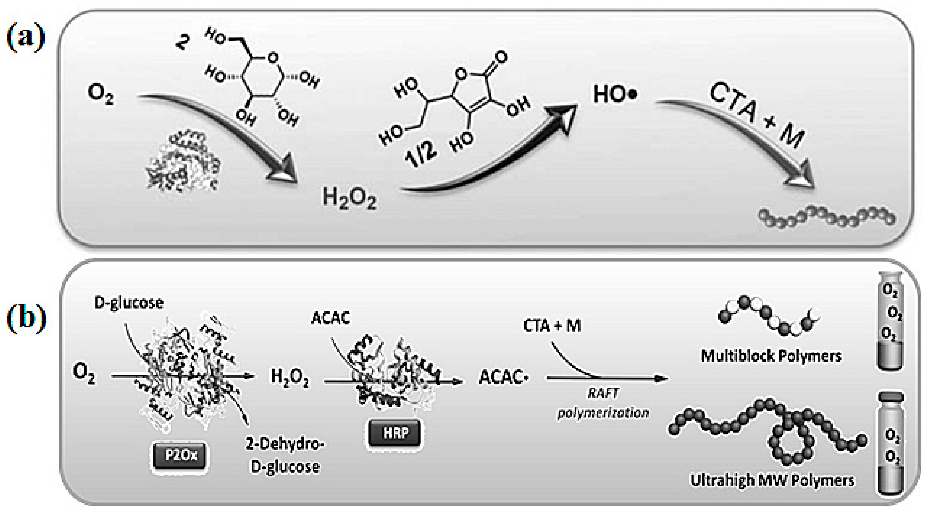 Polymers 10 00318 g004