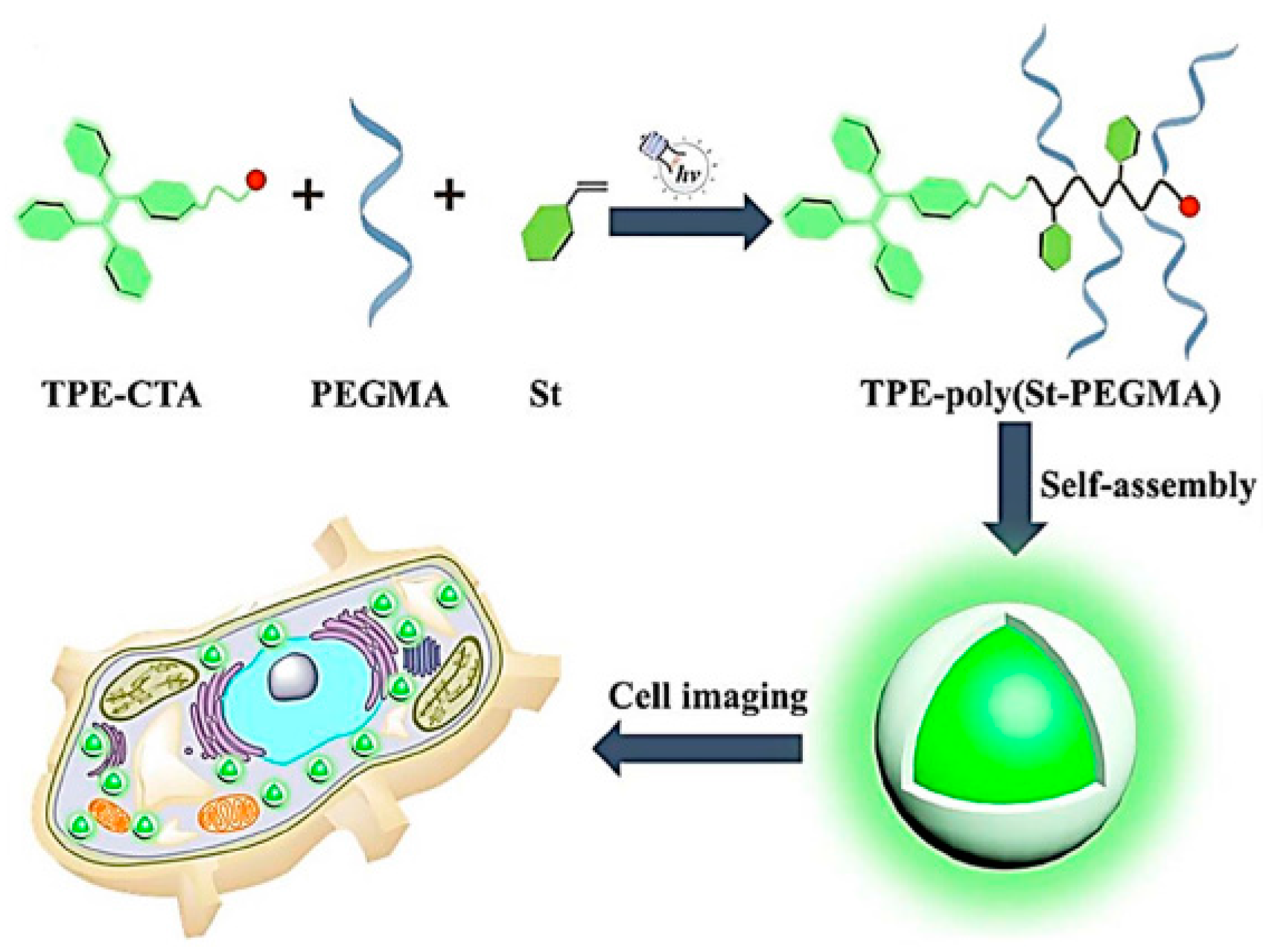 Polymers 10 00318 g009