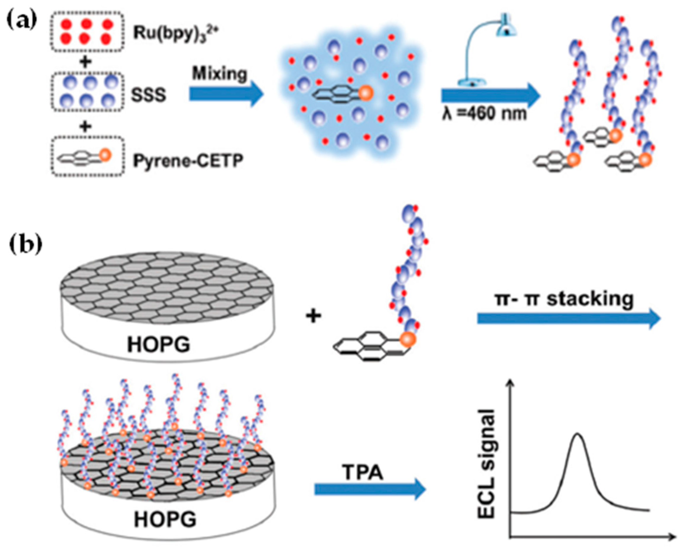 Polymers | Free Full-Text | Recent Advances In RAFT Polymerization ...