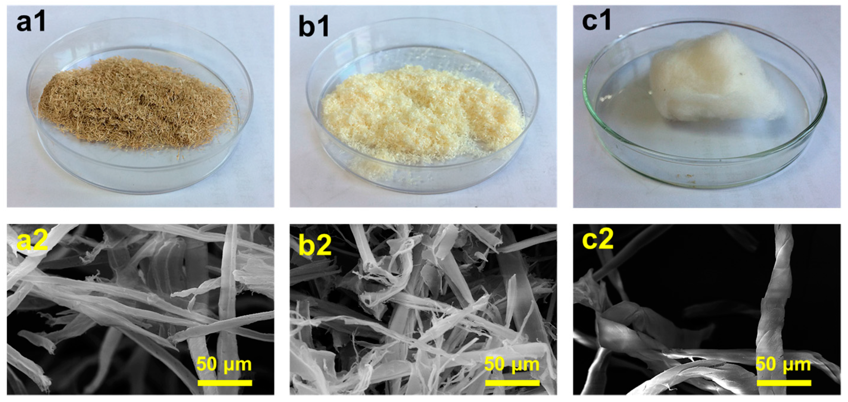 Polymers 10 00320 g001 Polymers 10 00320 g001