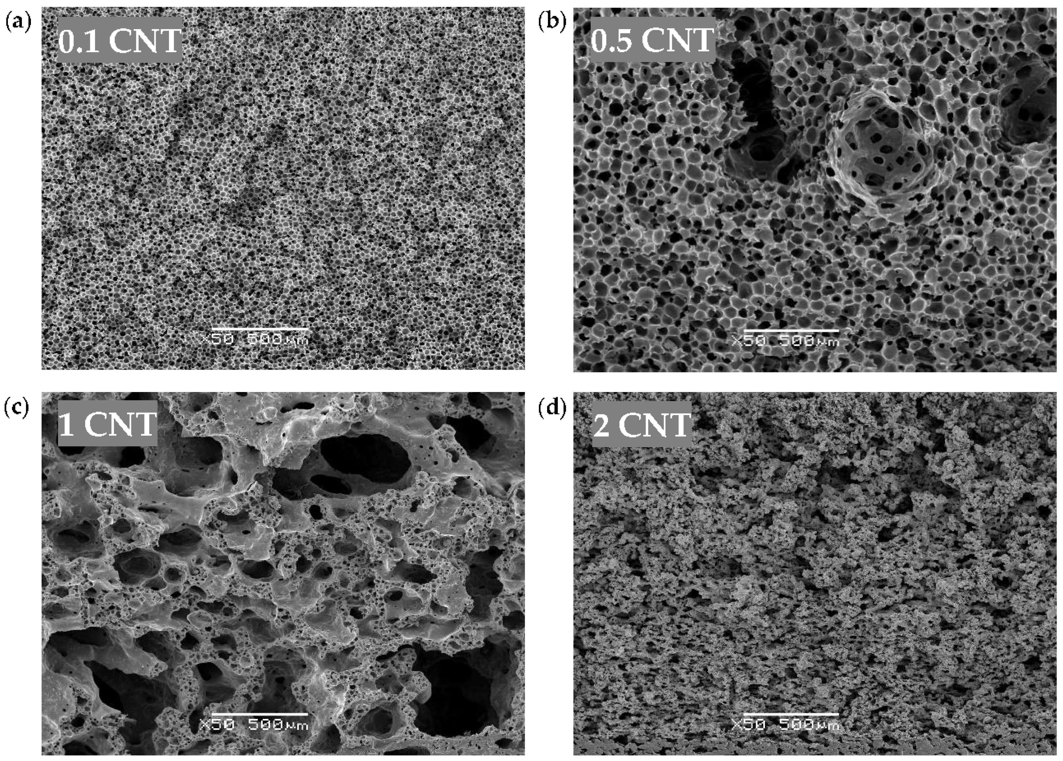 Polymers Free Full Text Effects Of Carbon Nanotubes Graphene Nanoplatelets Hybrid Systems On The Structure And Properties Of Polyetherimide Based Foams Html