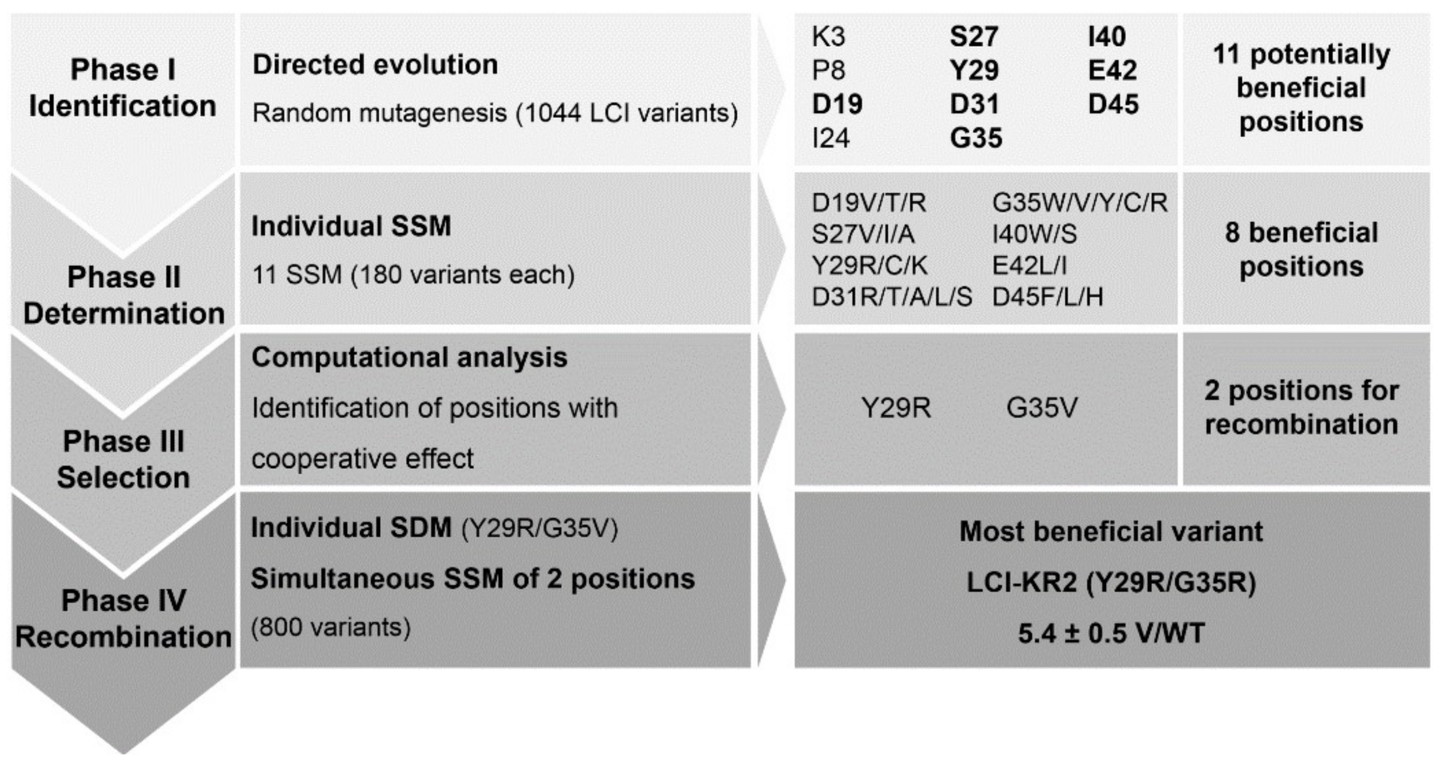 Polymers 10 00423 g001