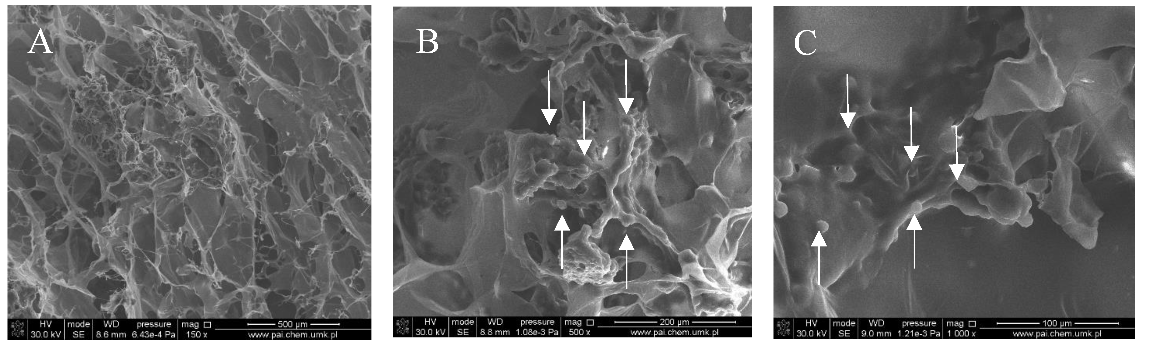 Polymers 10 00456 g002 Polymers 10 00456 g002