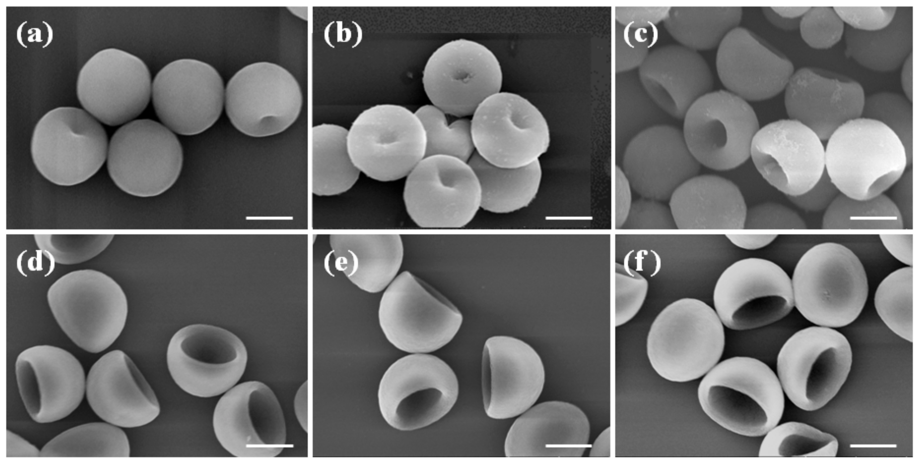 Polymers 10 00458 g005
