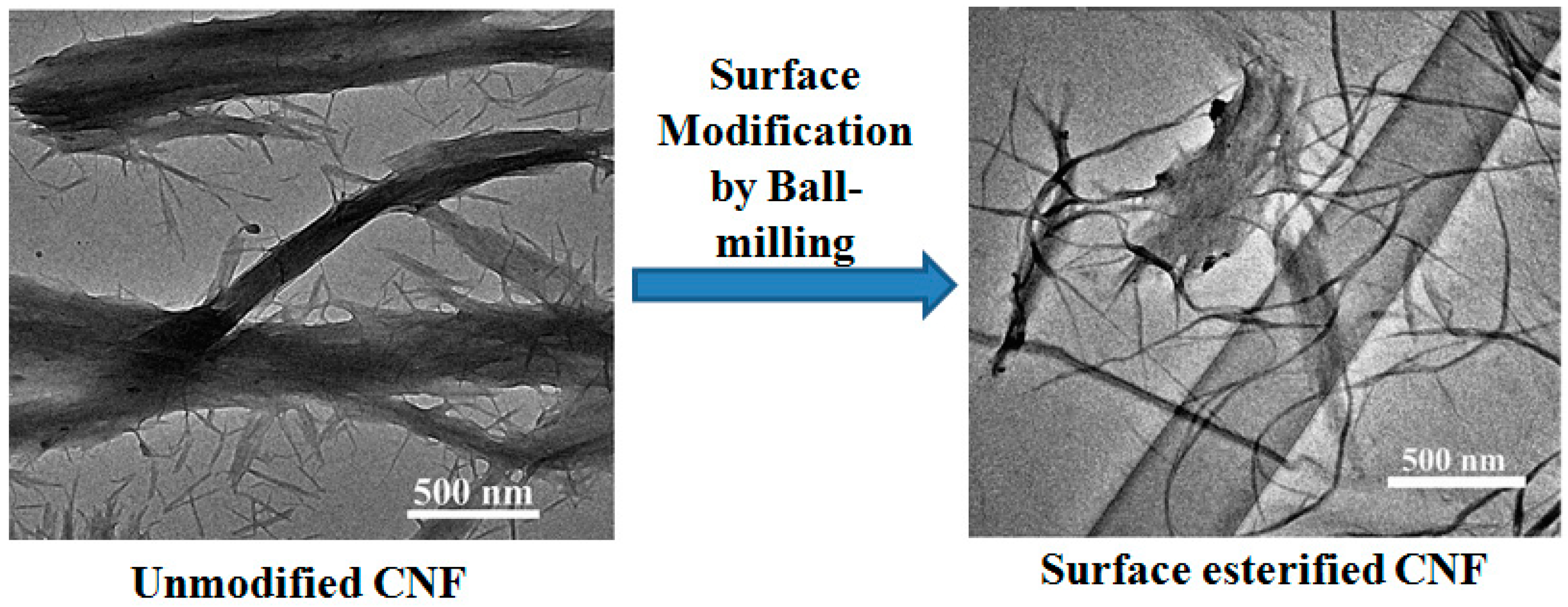 Polymers 10 00517 g005 Polymers 10 00517 g005