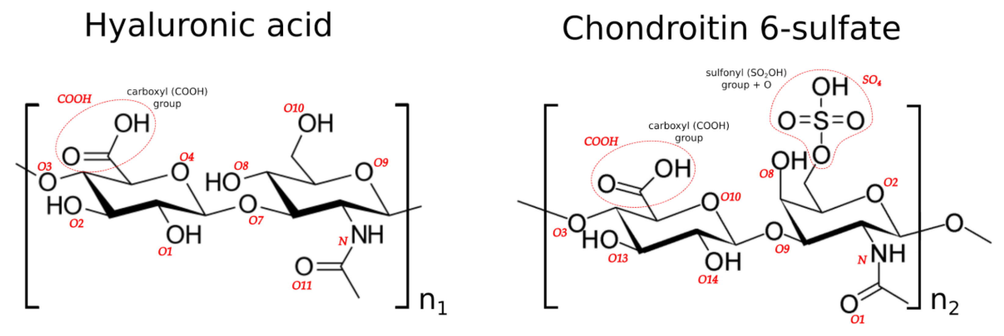 Polymers Free FullText HyaluronanChondroitin Sulfate Anomalous