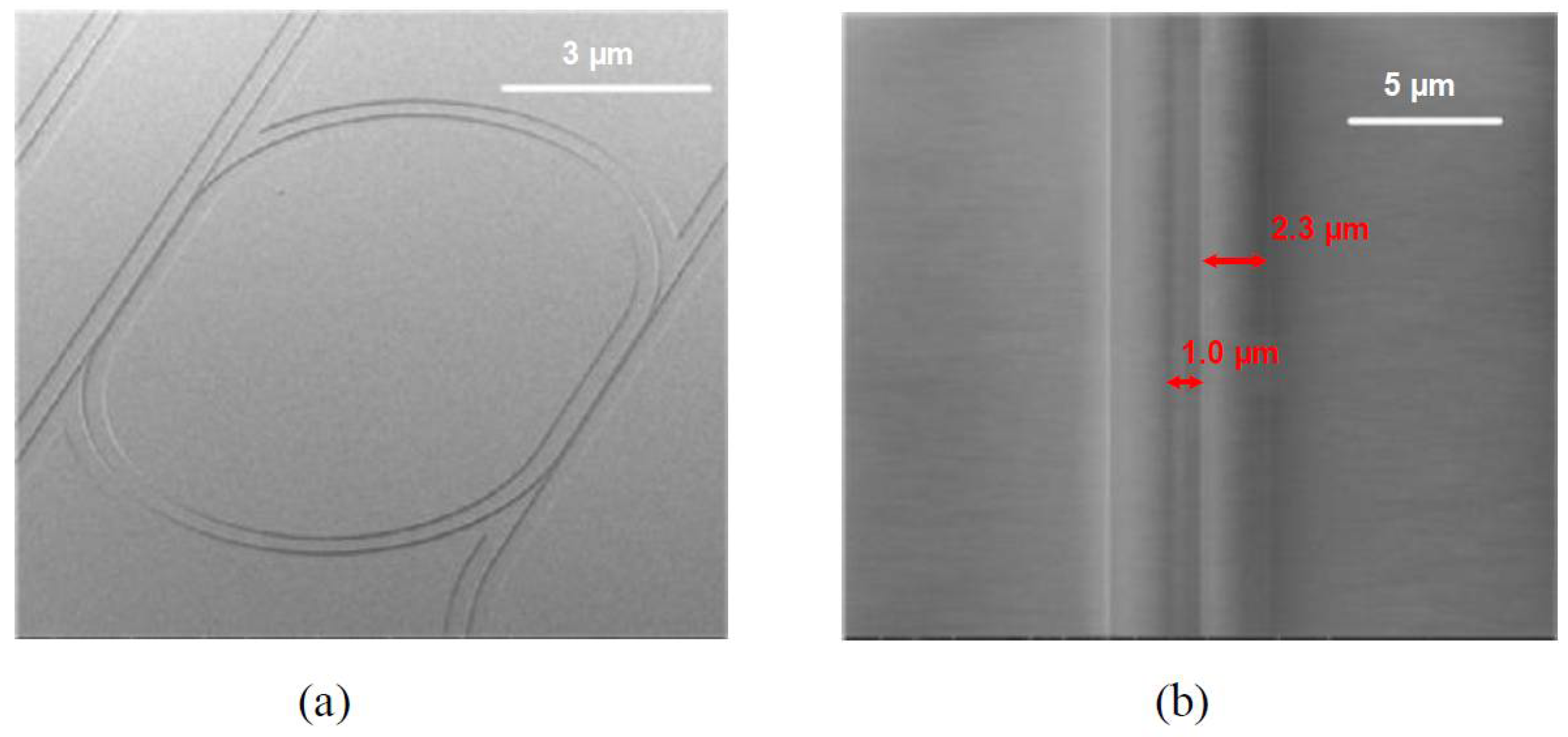 Polymers 10 00603 g008 Polymers 10 00603 g008