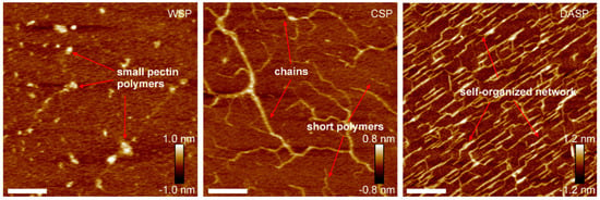 Polymers Free Full Text Structure Related Gelling Of Pectins And Linking With Other Natural Compounds A Review Html