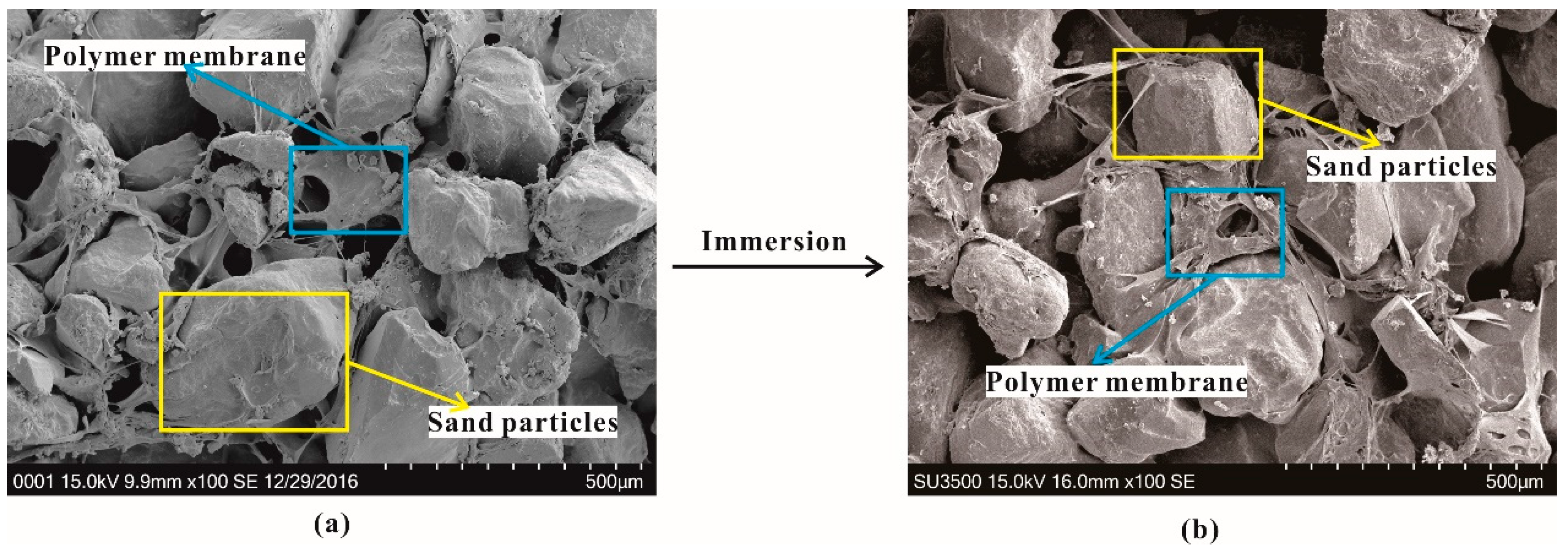 Polymers 10 00924 g002