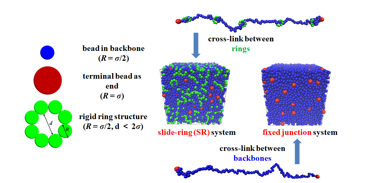 Polymers | Free Full-Text | Designing the Slide-Ring Polymer Network with  both Good Mechanical and Damping Properties via Molecular Dynamics  Simulation