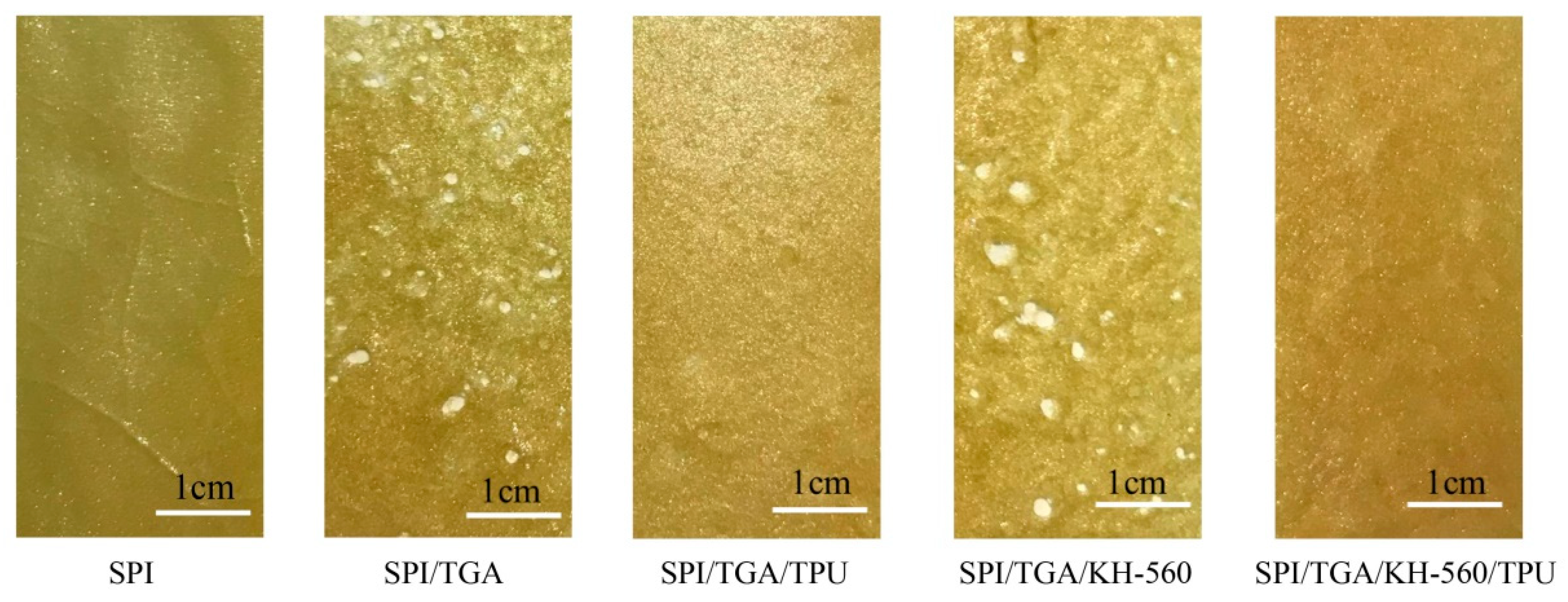 Polymers 10 01016 g008