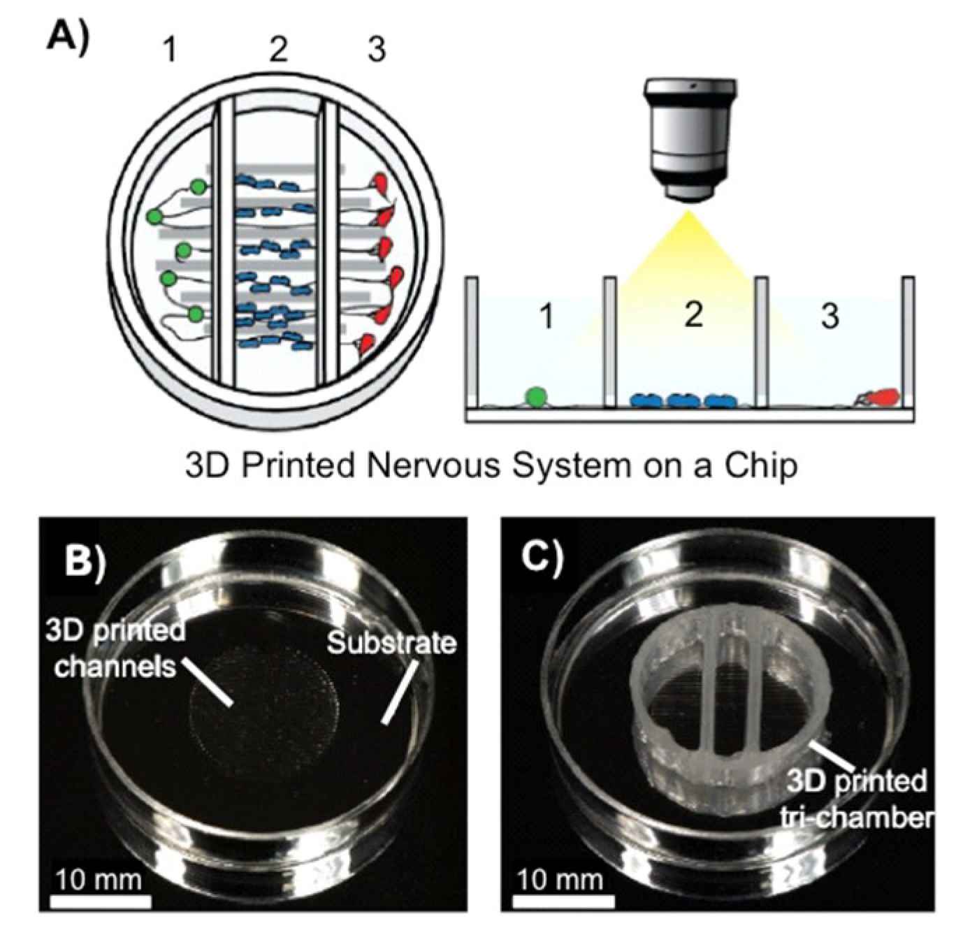 Polymers 10 01041 g005 Polymers 10 01041 g005