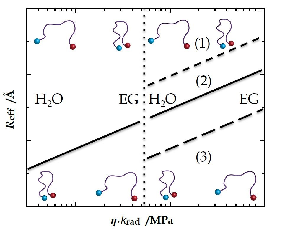 Polymers Free Full Text Two Orders Of Magnitude Variation Of Diffusion Enhanced Forster Resonance Energy Transfer In Polypeptide Chains