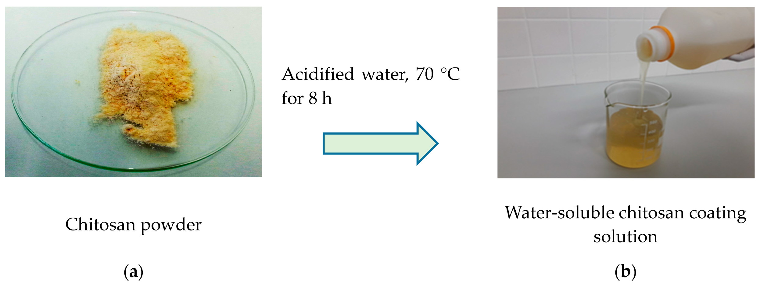 Polymers | Free Full-Text | Application of Industrially Produced Chitosan  in the Surface Treatment of Fibre-Based Material: Effect of Drying Method  and Number of Coating Layers on Mechanical and Barrier Properties