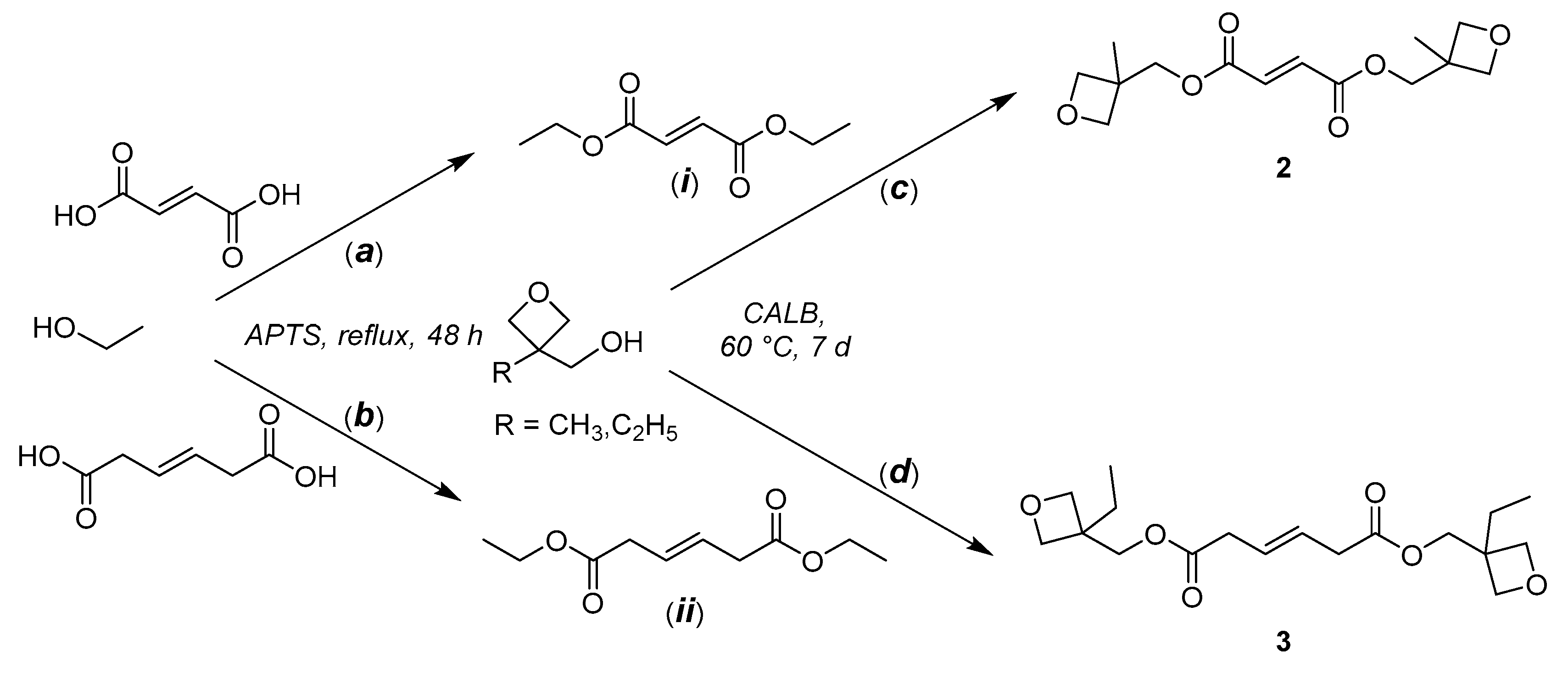Polymers 10 01241 sch002 Polymers 10 01241 sch002