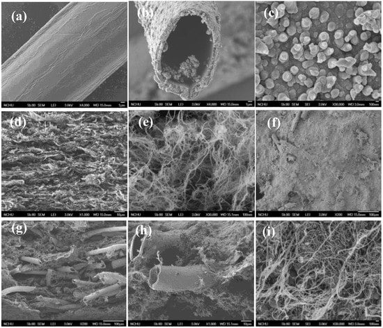 Polymers Free Full Text Facile Scalable Eco Friendly Fabrication Of High Performance Flexible All Solid State Supercapacitors Html