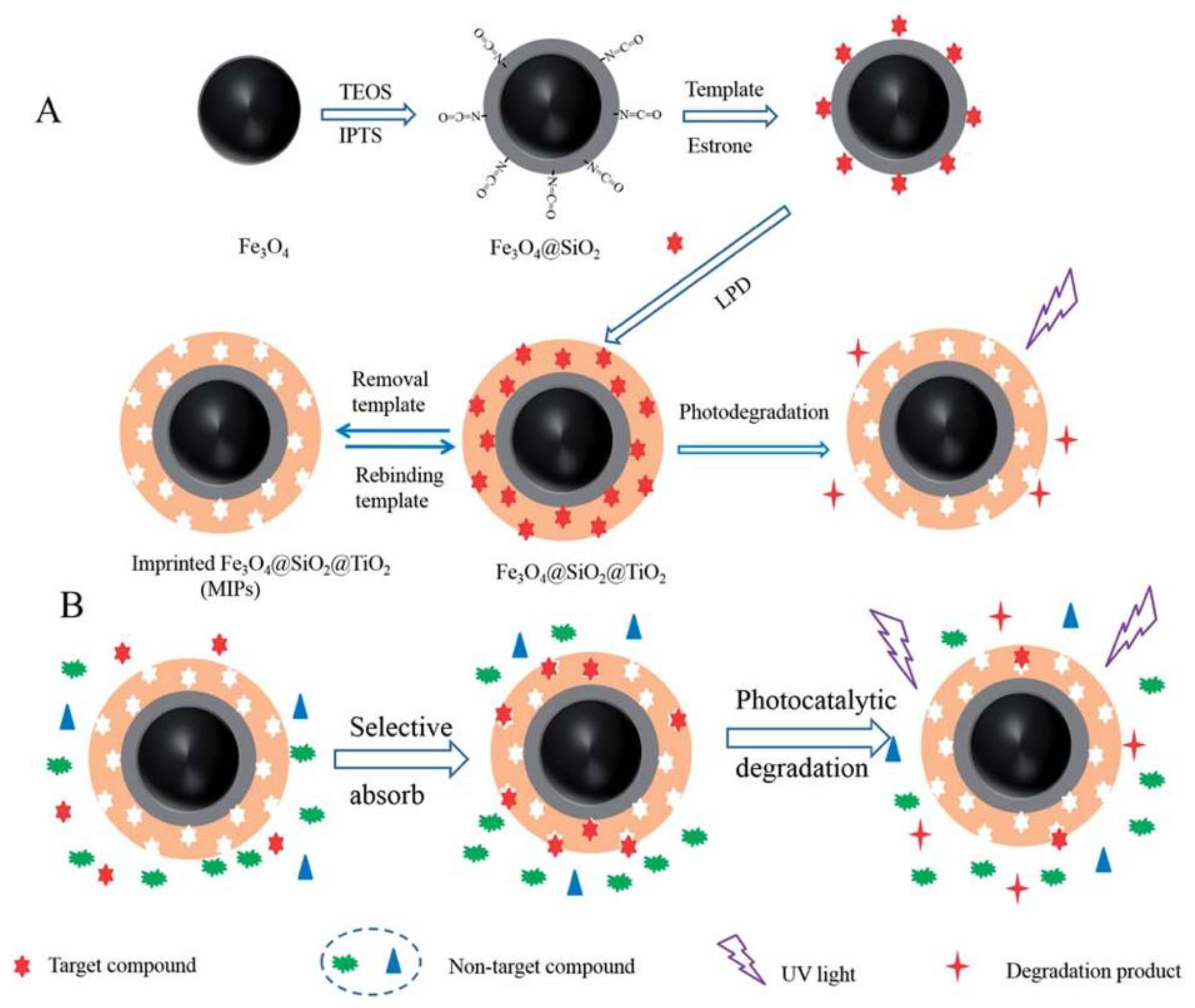 Polymers 10 01248 g007